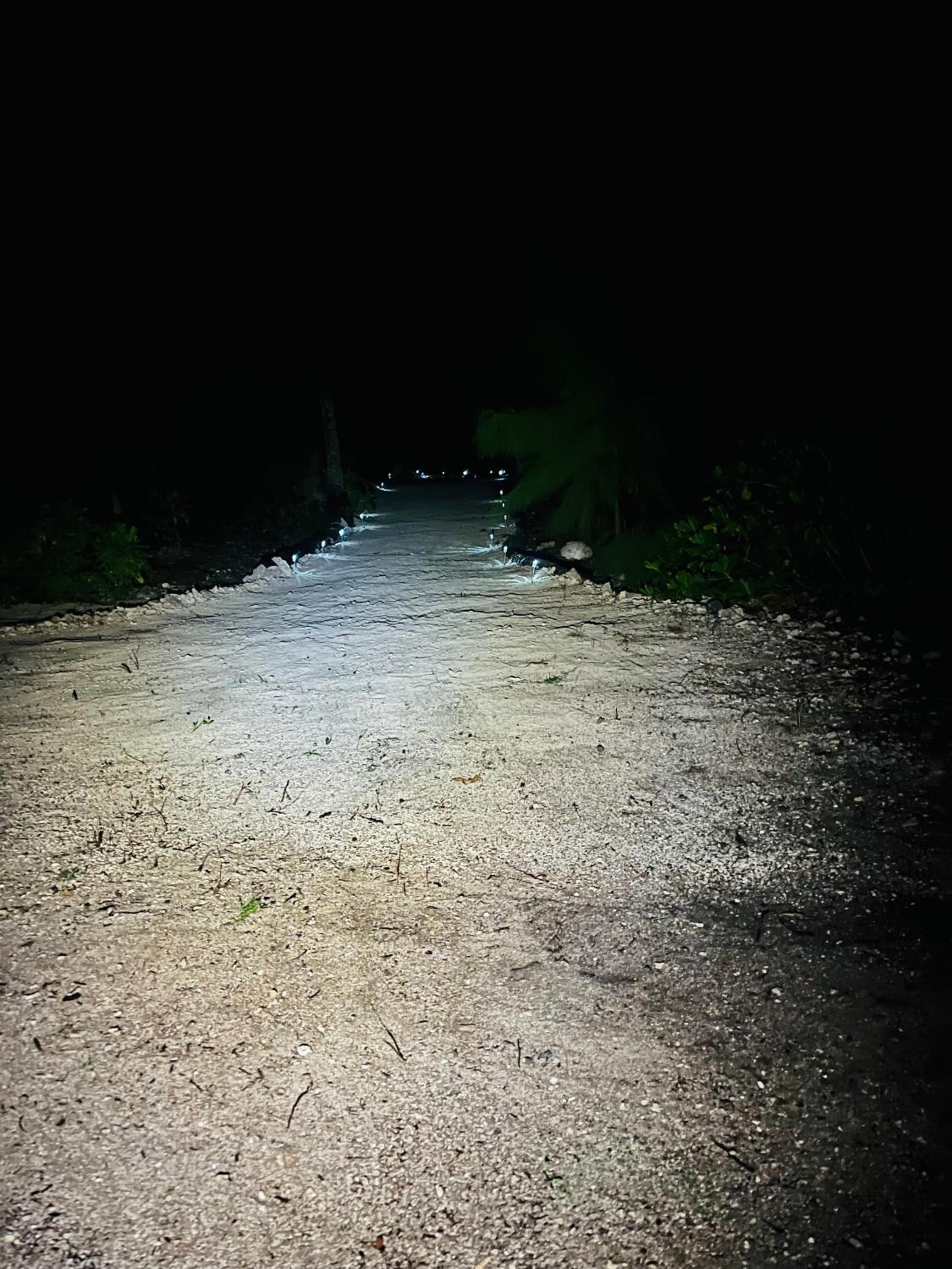 Photo 52