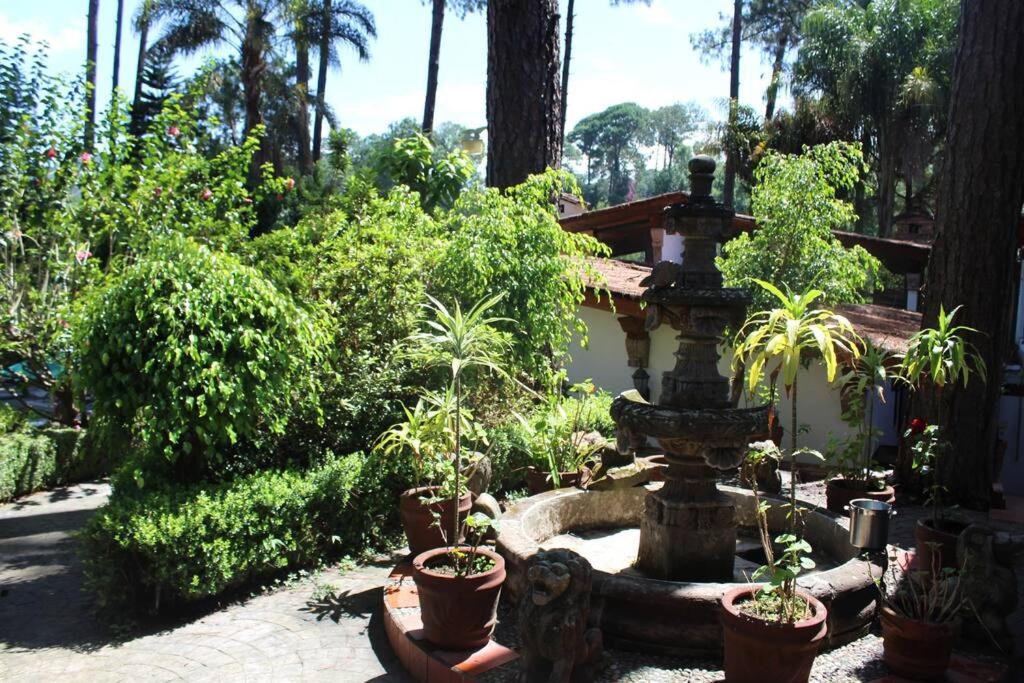 Photo 41