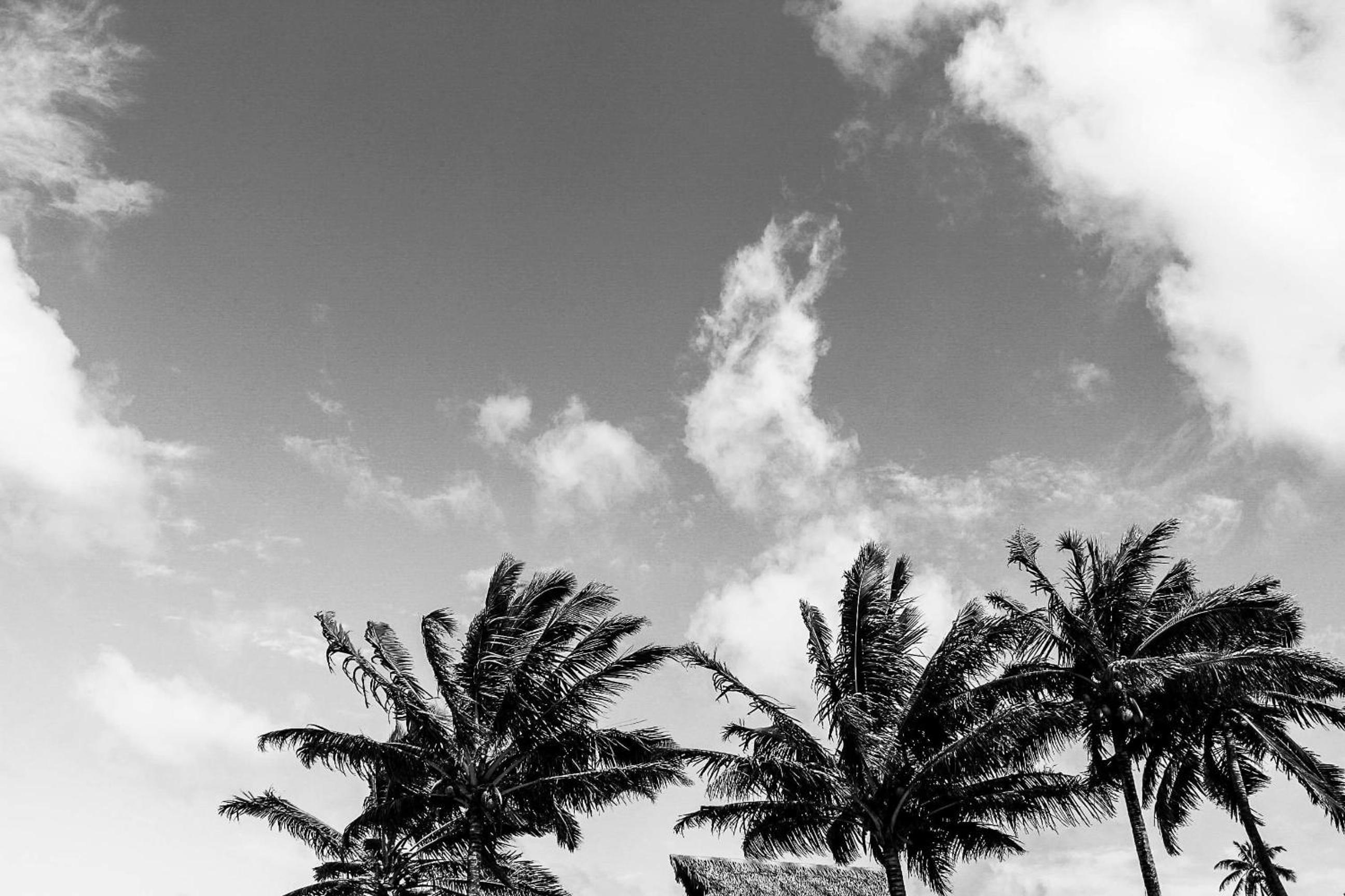 Rarotonga Villas Absolute Beachfront