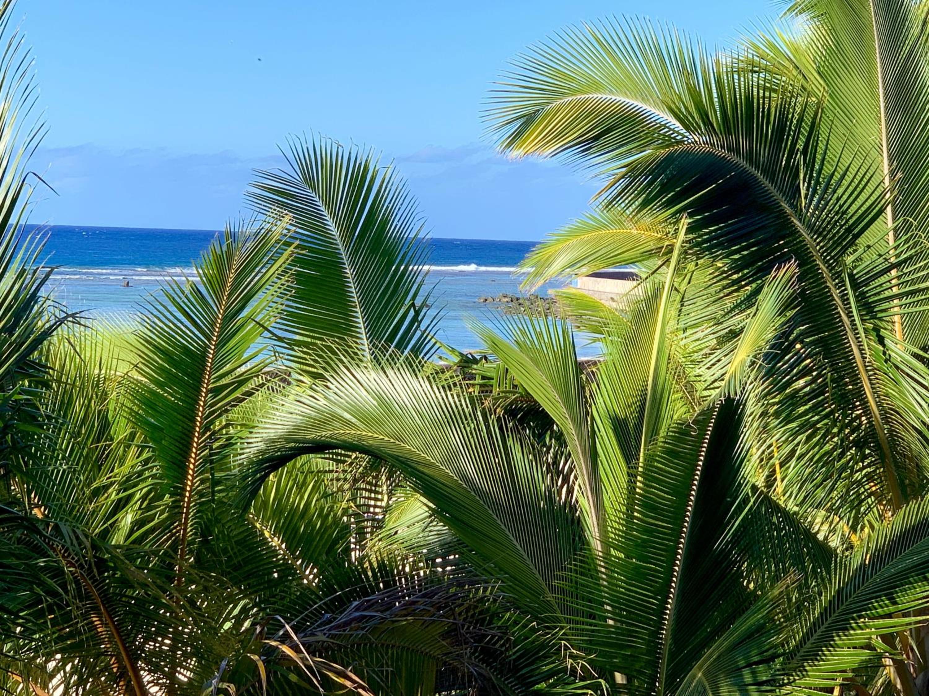 Rarotonga Villas Absolute Beachfront