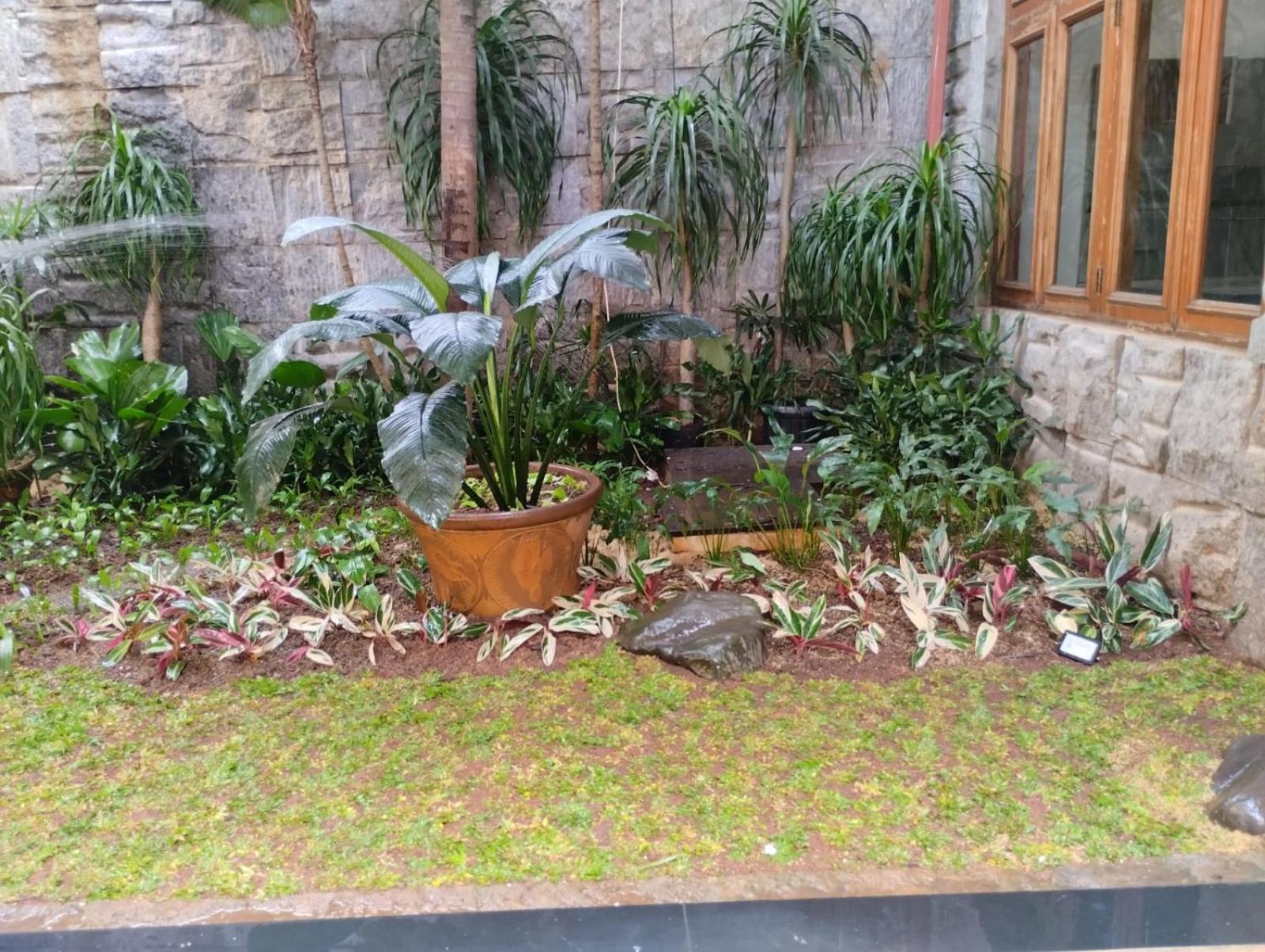 Photo 7