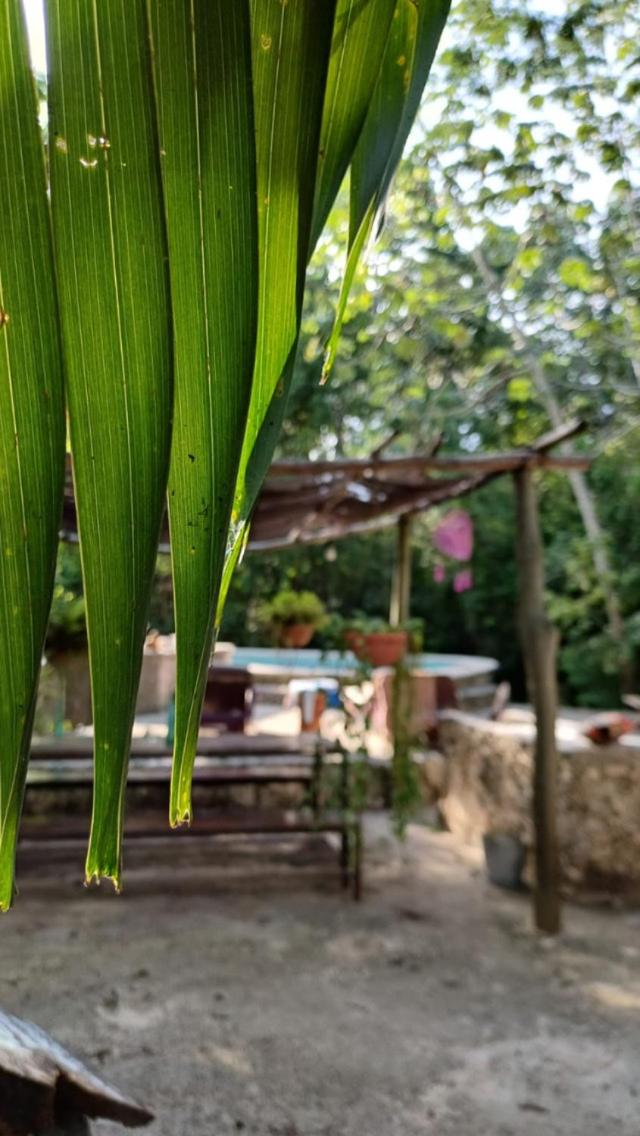 Casa Tzalam Tulum selva