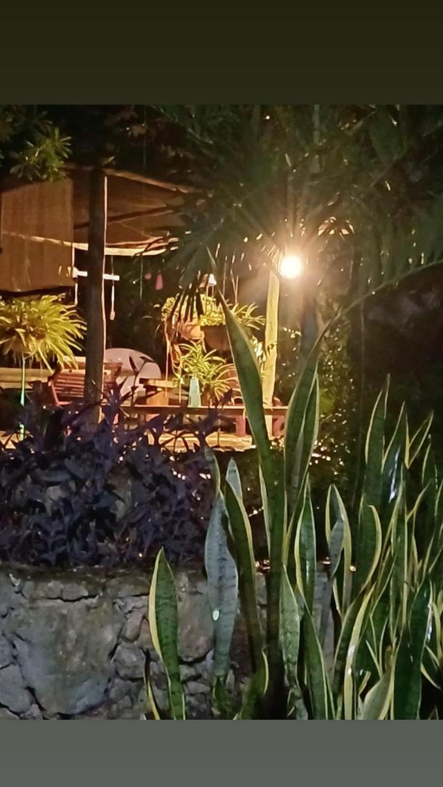 Casa Tzalam Tulum selva