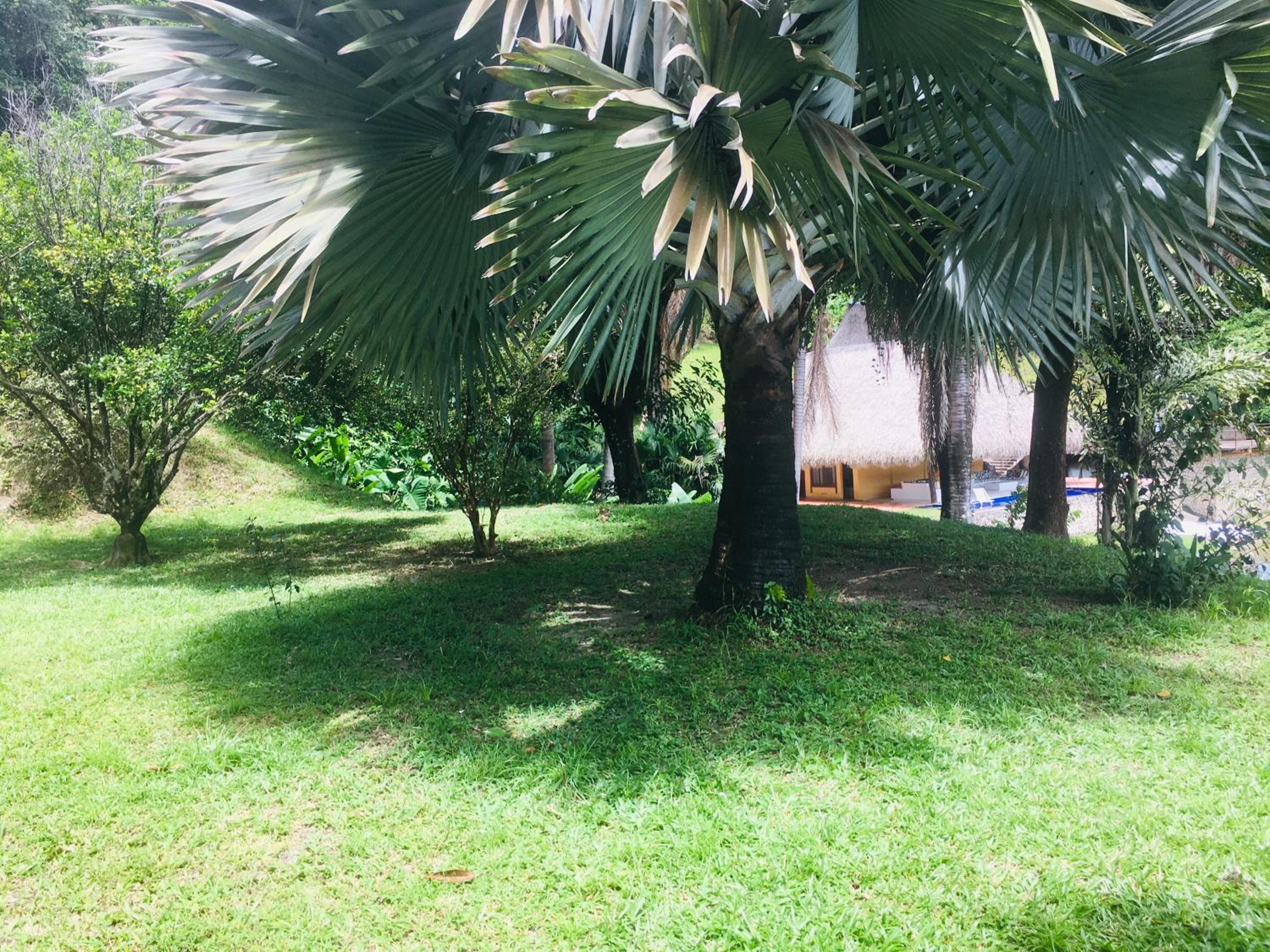 Casa Kalica