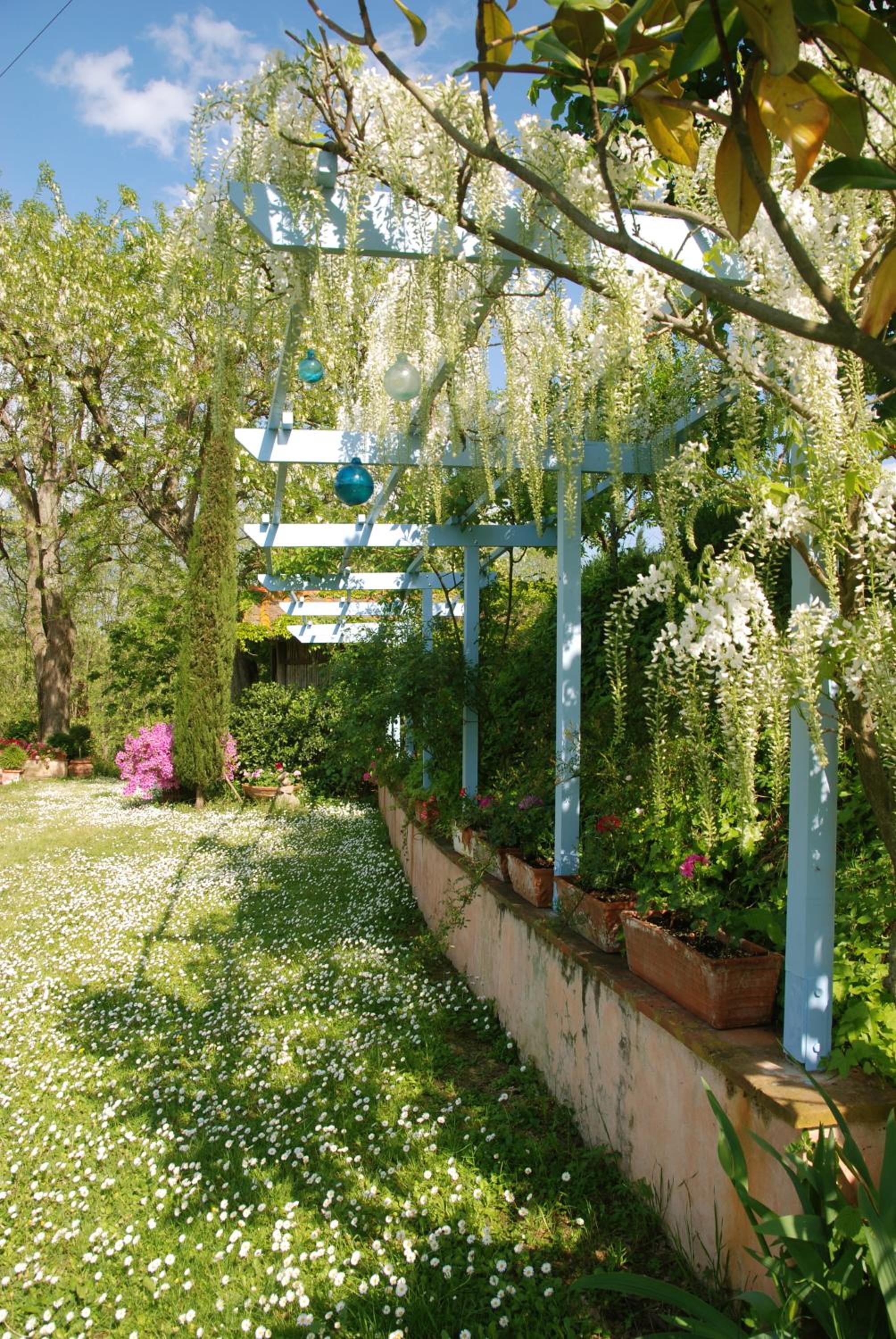Appartamento con patio privato e giardino tra Pisa e Firenze photo 3