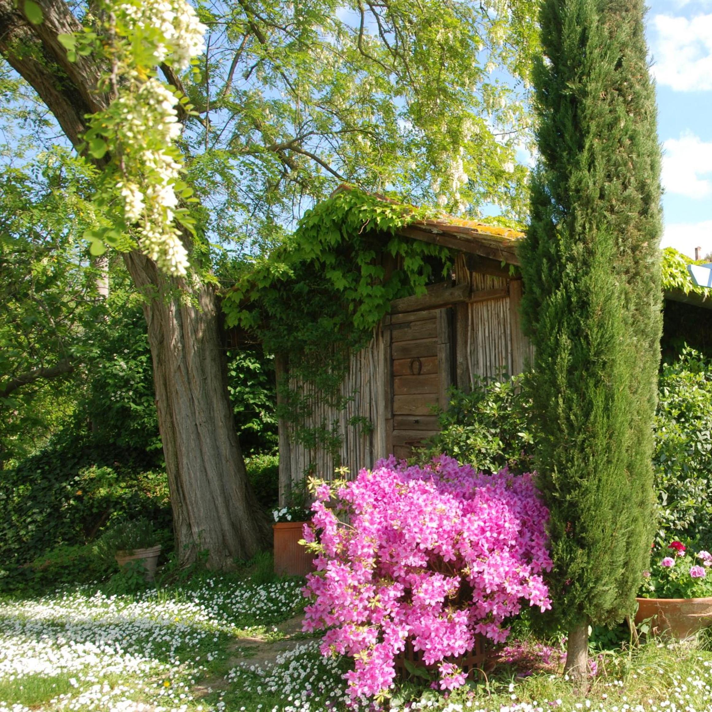Appartamento con patio privato e giardino tra Pisa e Firenze photo 5