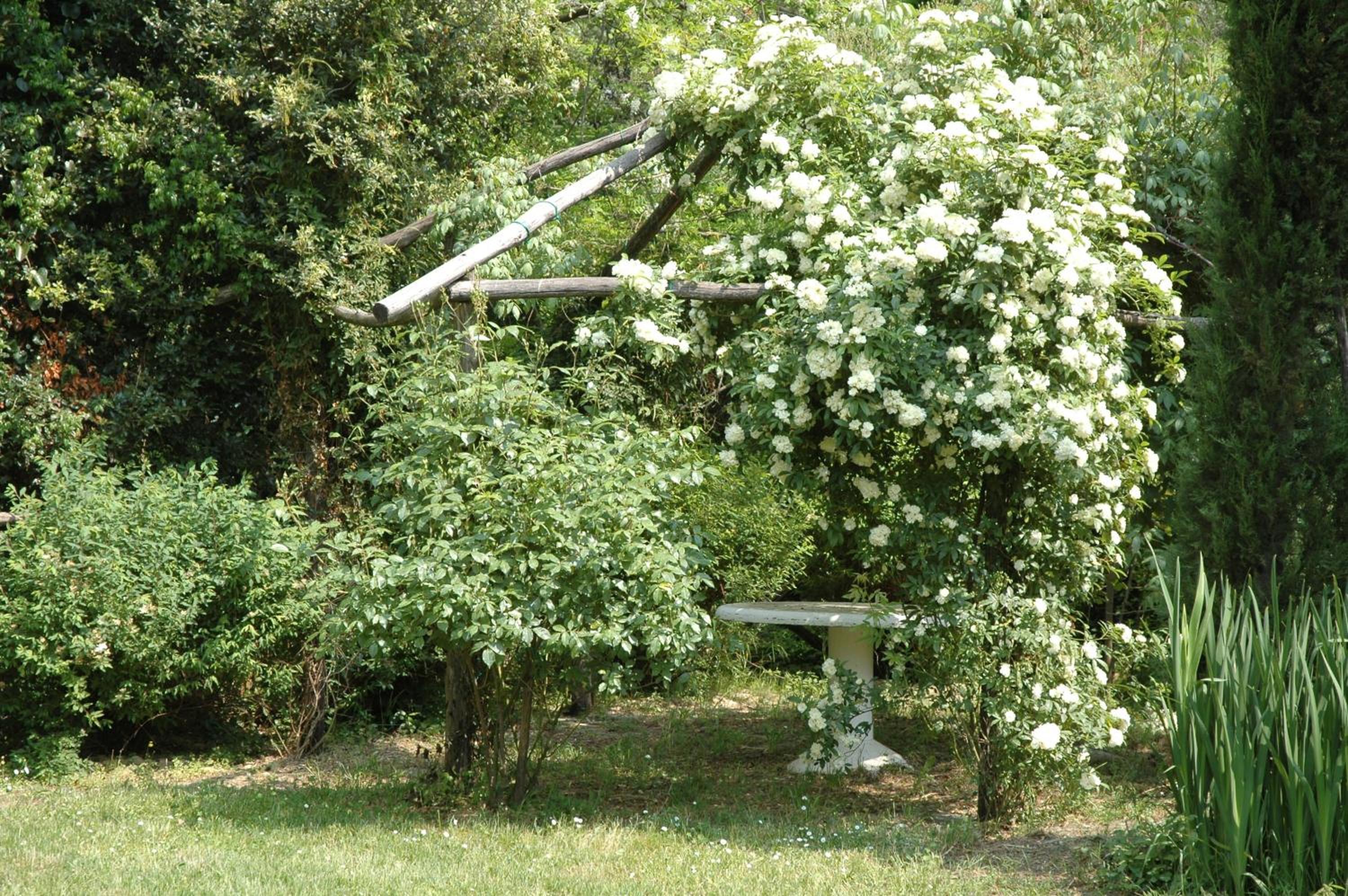 Photo 22