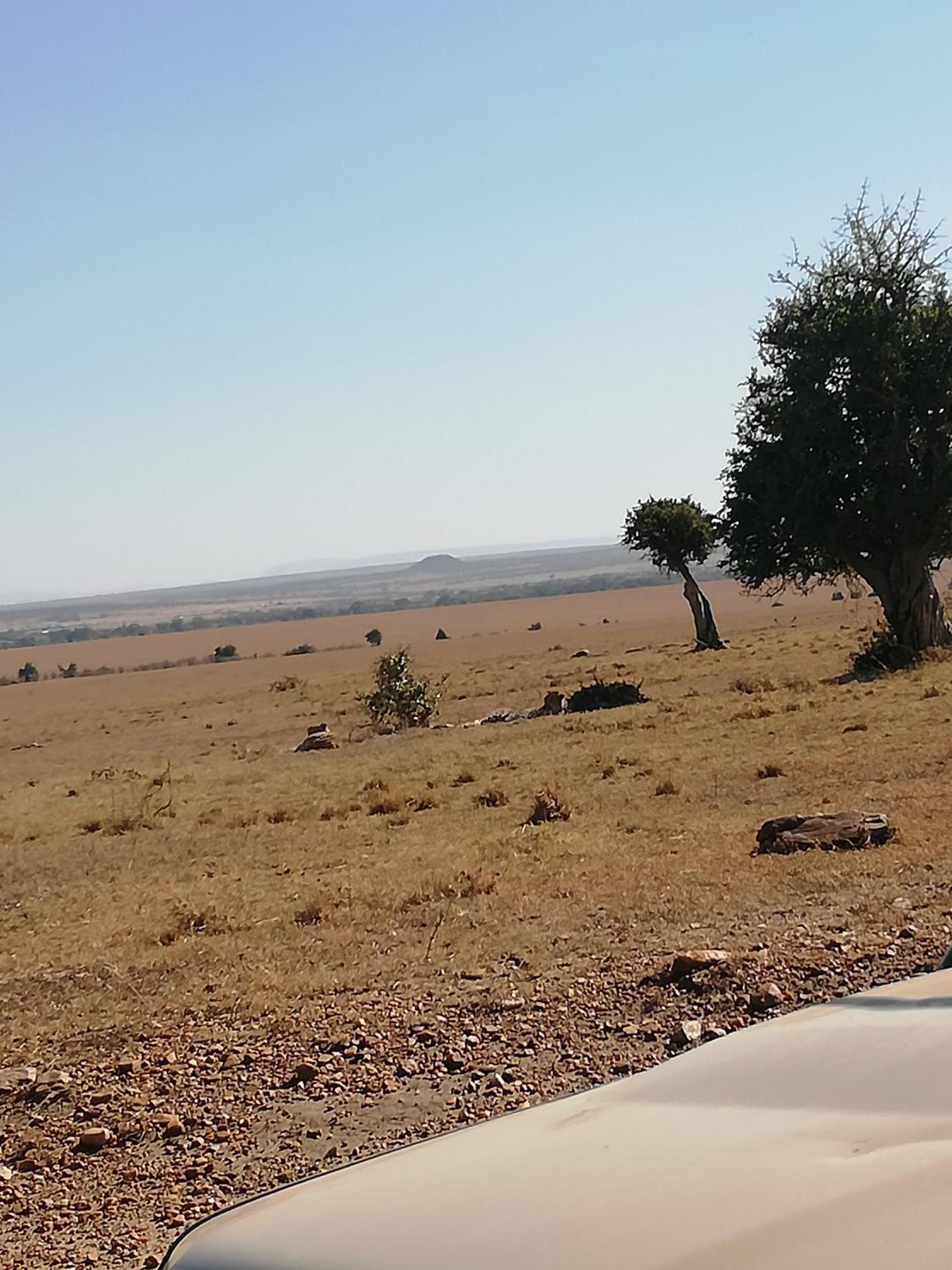 Mara Forest camp view 3