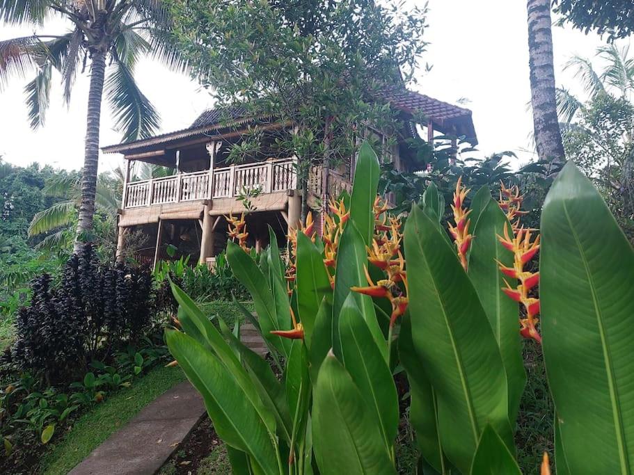 JungleHavenBali - Private Nature Stay