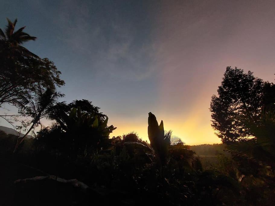 JungleHavenBali - Private Nature Stay