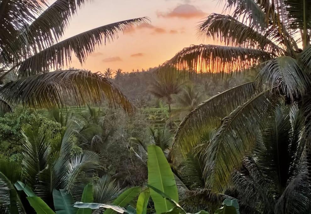 JungleHavenBali - Private Nature Stay