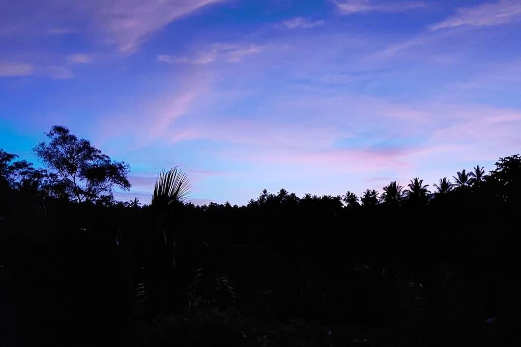 JungleHavenBali - Private Nature Stay