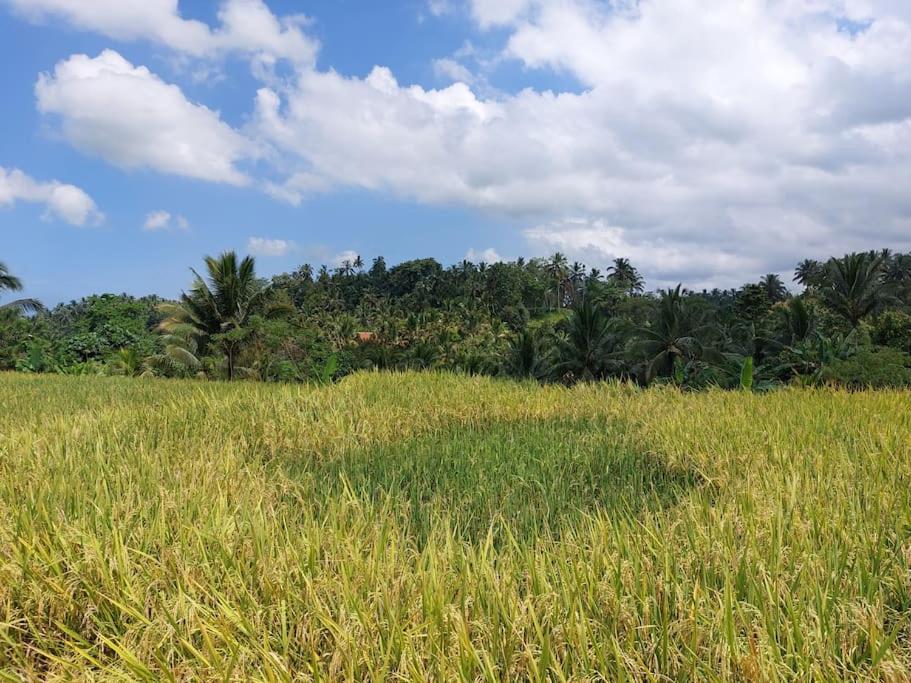 JungleHavenBali - Private Nature Stay