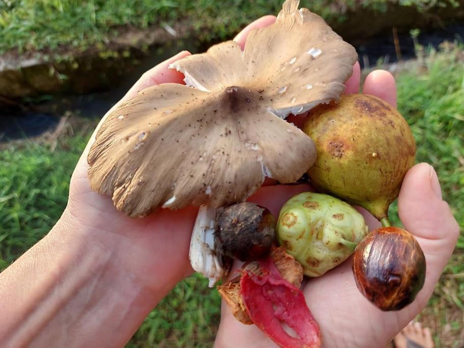 JungleHavenBali - Private Nature Stay