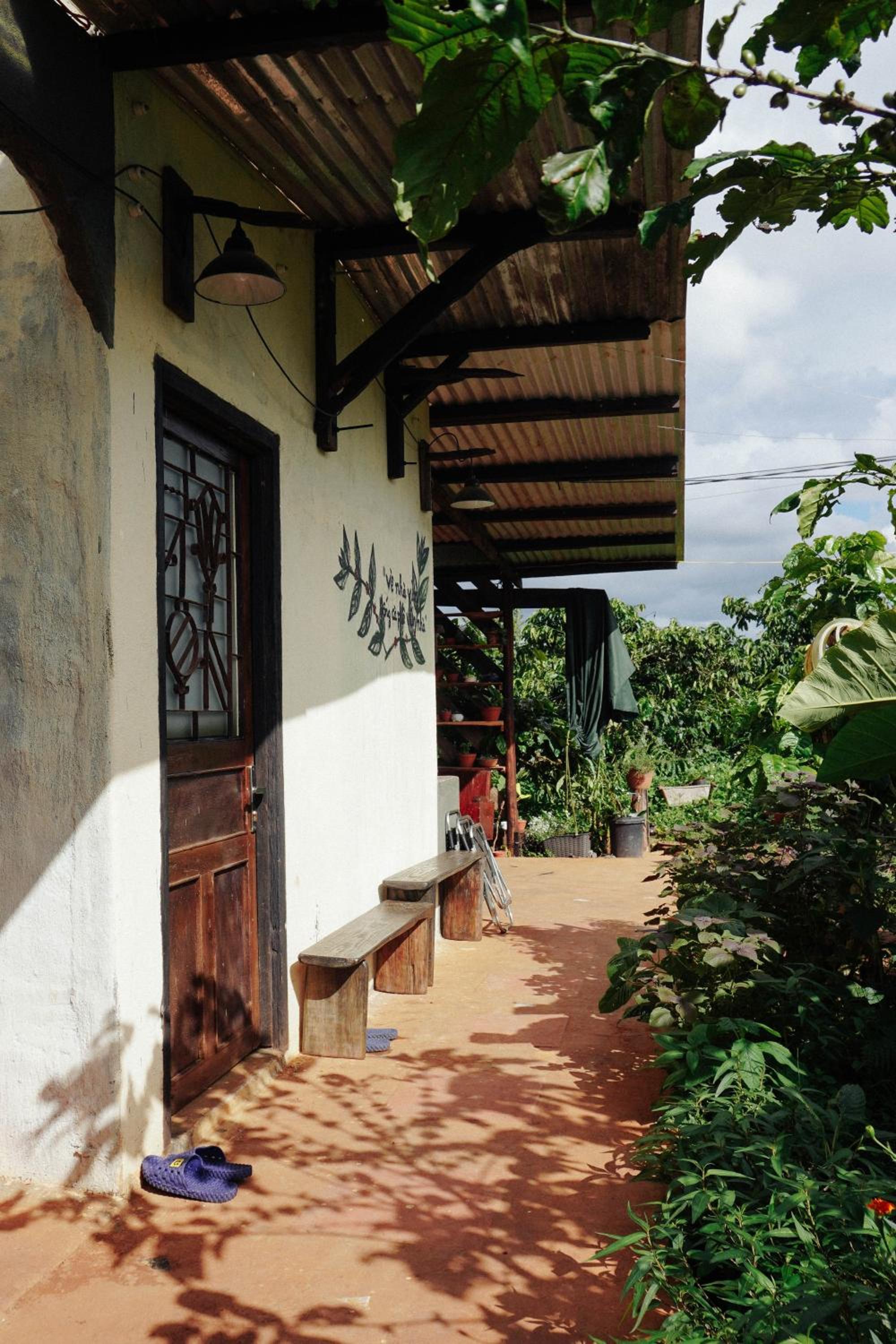 Ivy Coffee Farm - Garden House view 5