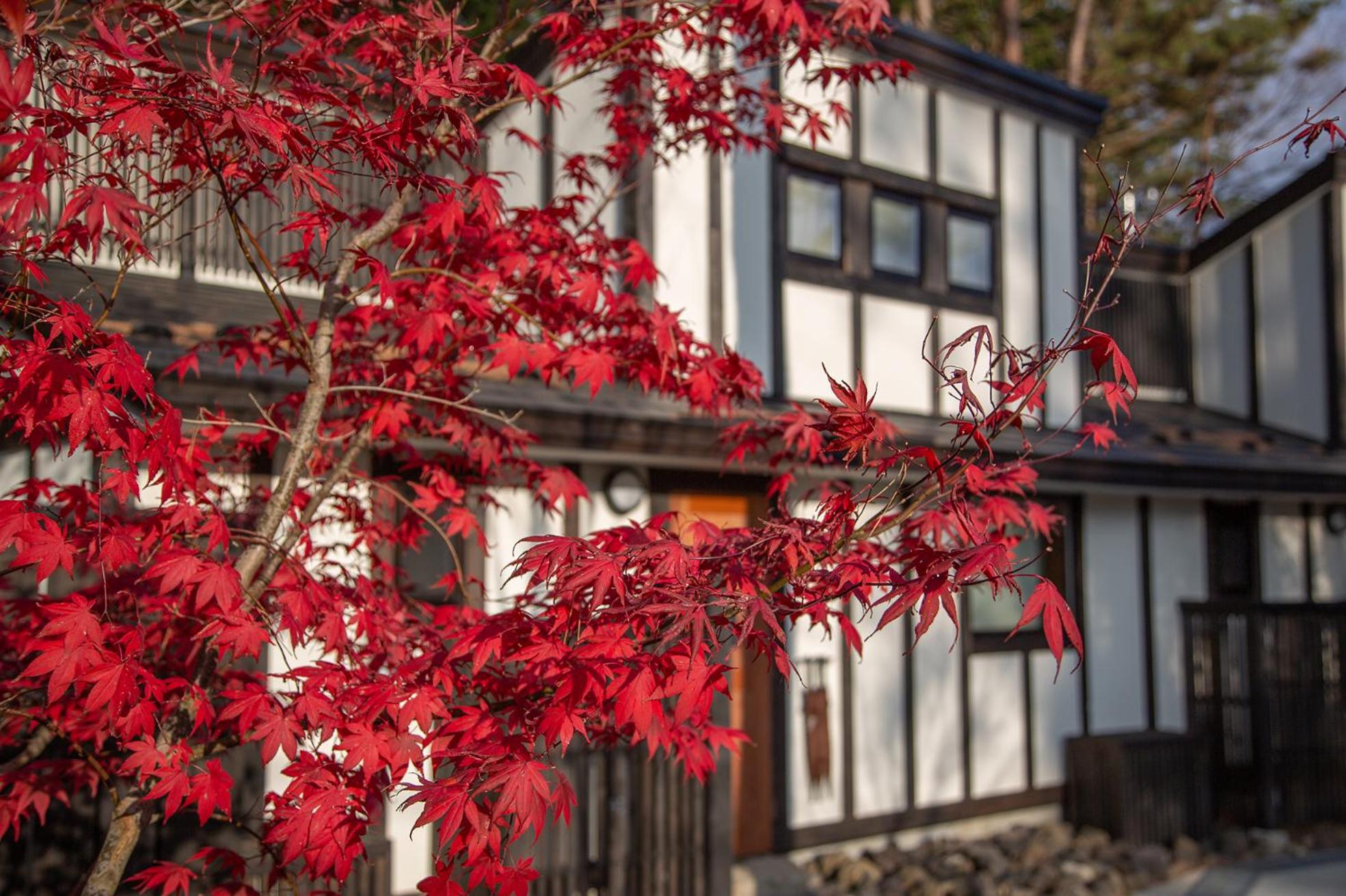 HANZ OUTDOOR RESORT -formerly GLAMPING VILLA HANZ KAWAGUCHIKO view 5