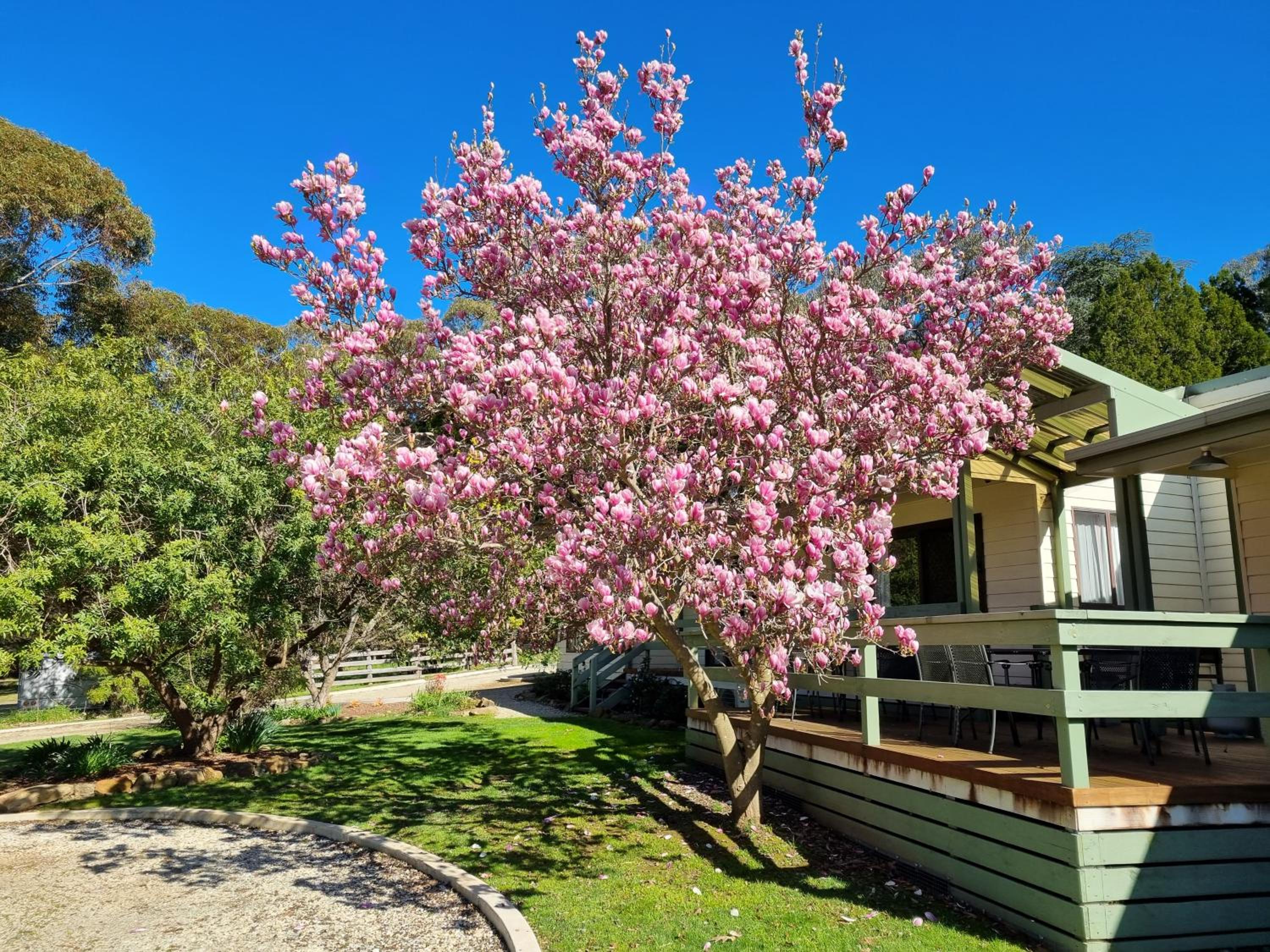 Golden Heritage Apartments Beechworth