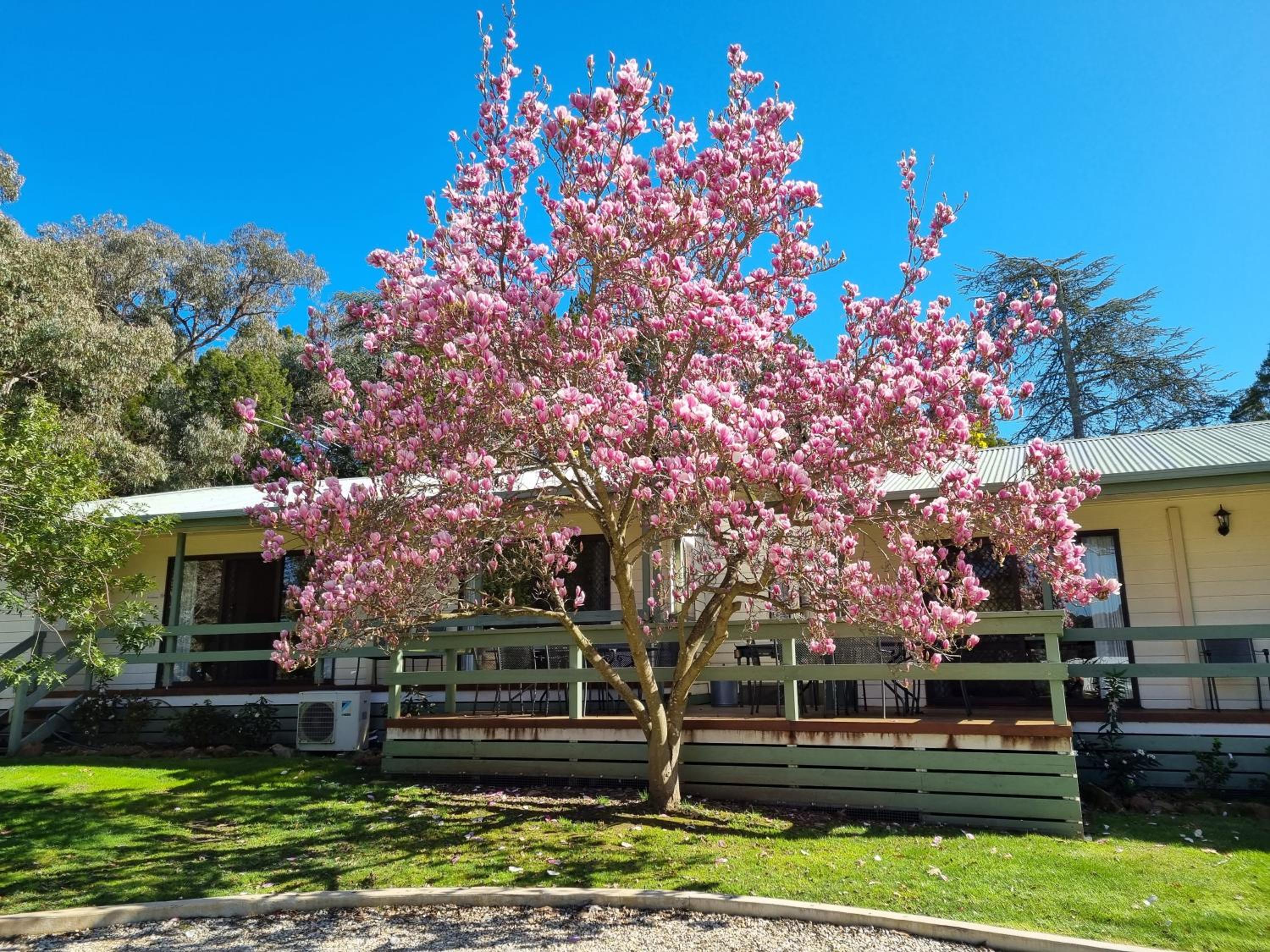 Golden Heritage Apartments Beechworth