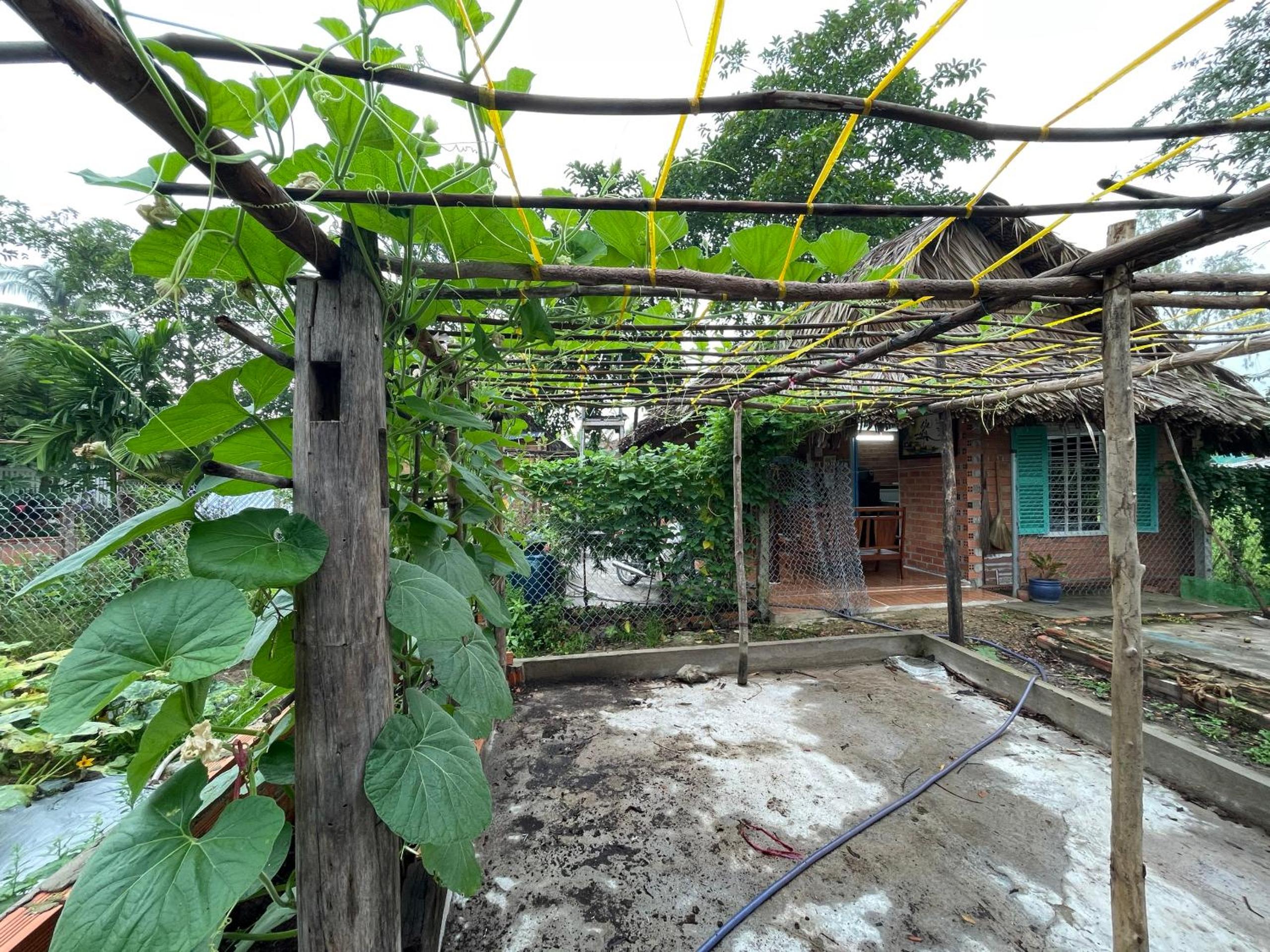 Photo 6