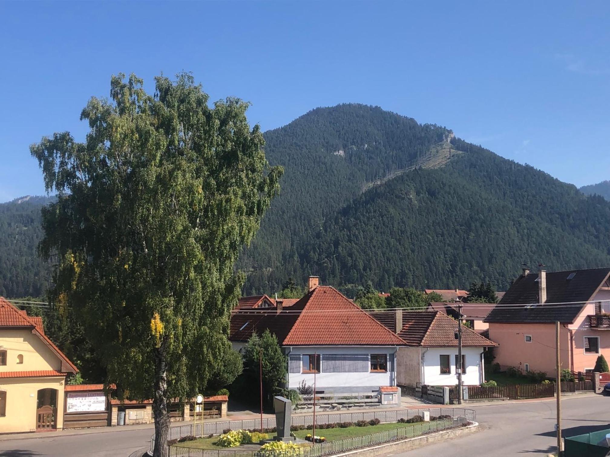 Photo 47