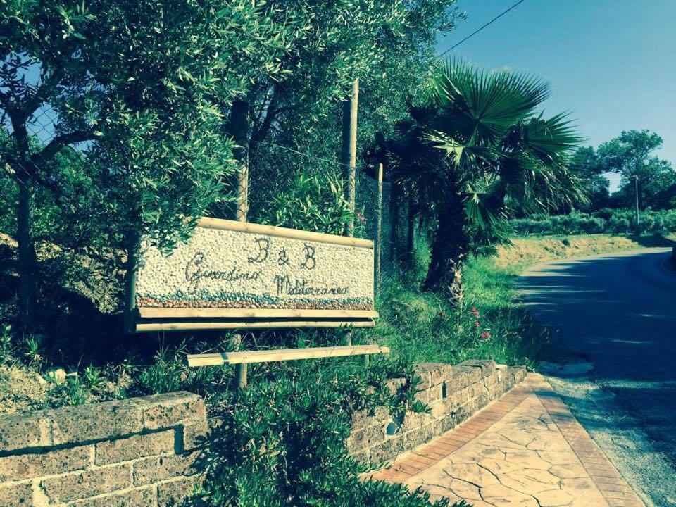 B&B Il Giardino Mediterraneo