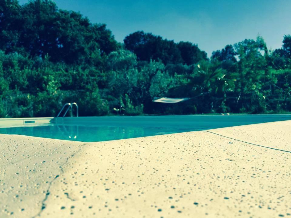B&B Il Giardino Mediterraneo