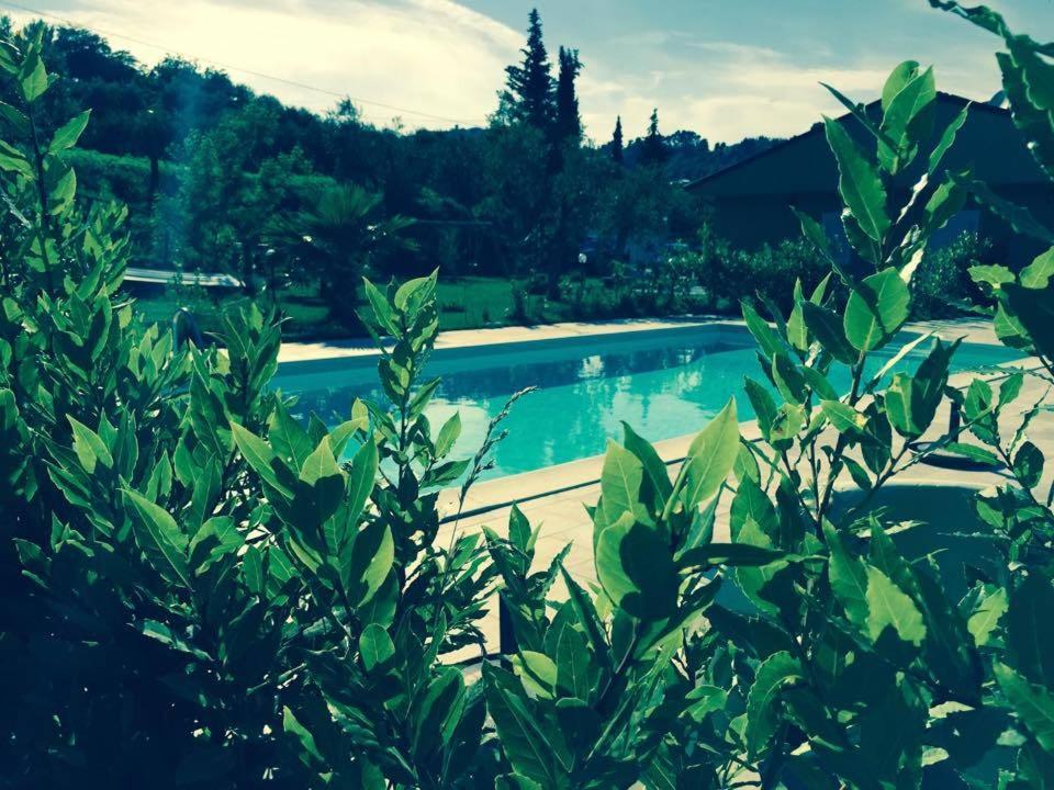 B&B Il Giardino Mediterraneo