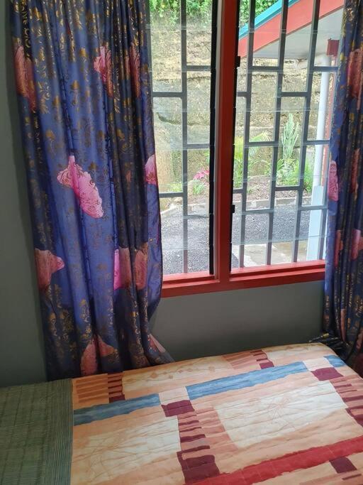 Dr Ron's Apartments,Suva, Fiji