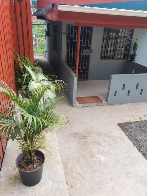 Dr Ron's Apartments,Suva, Fiji