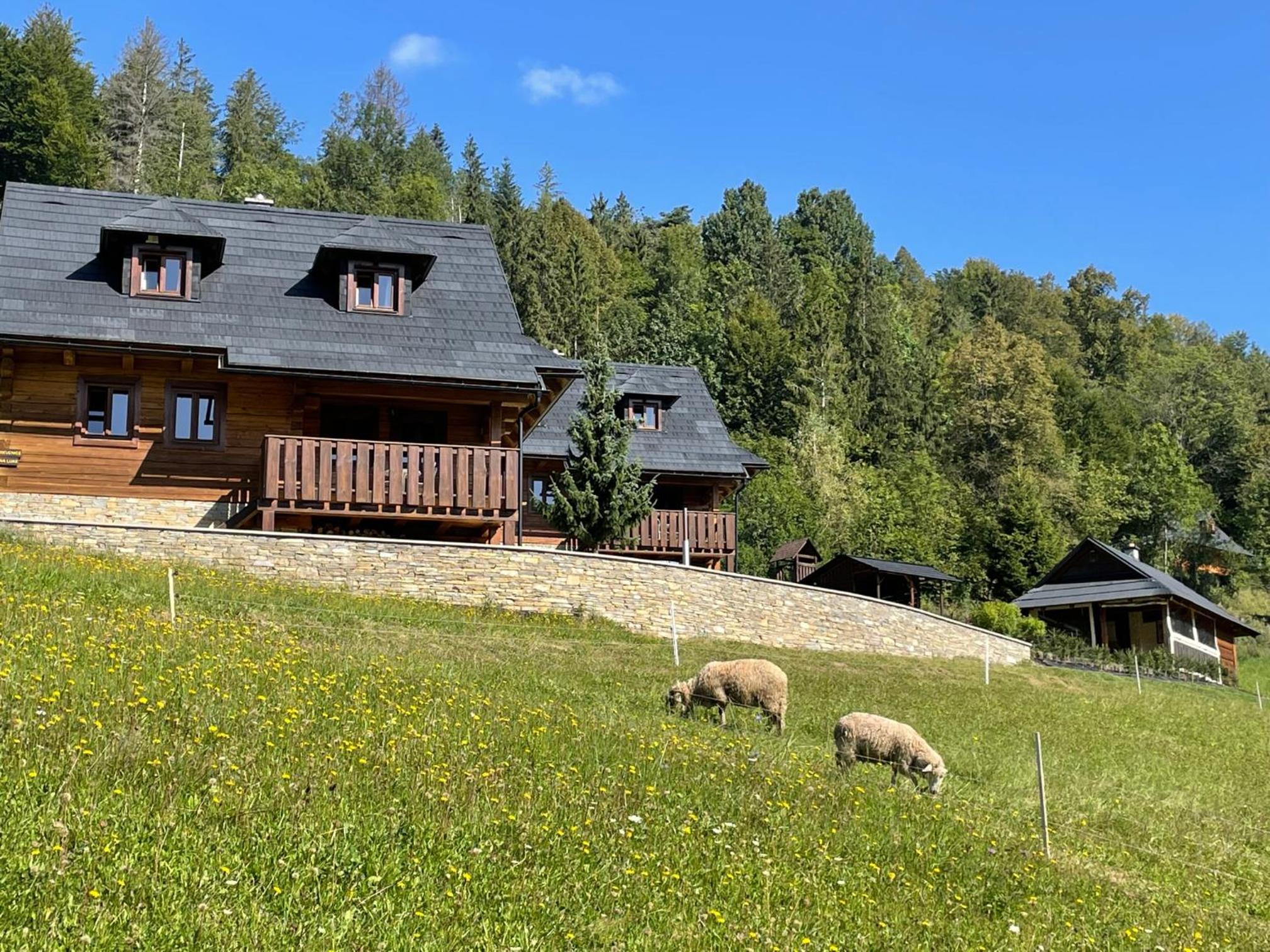 Drevenica Čakanka a Drevenica Nezábudka