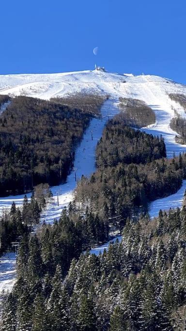 Majestic Mountain Views: Charming 1-BR Hideaway