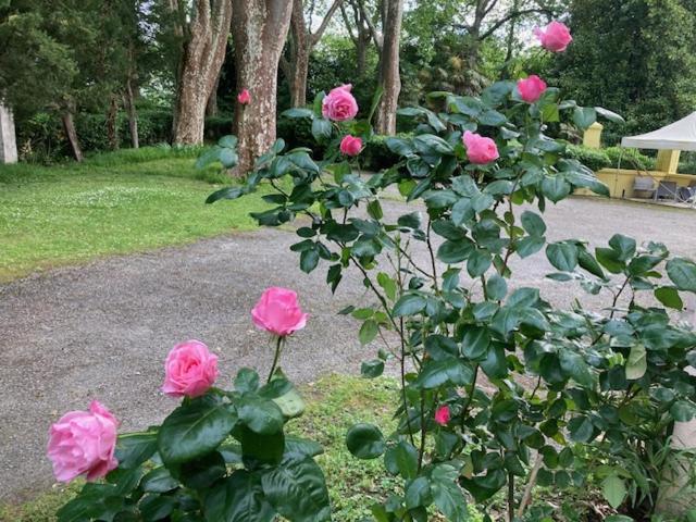 Photo 48
