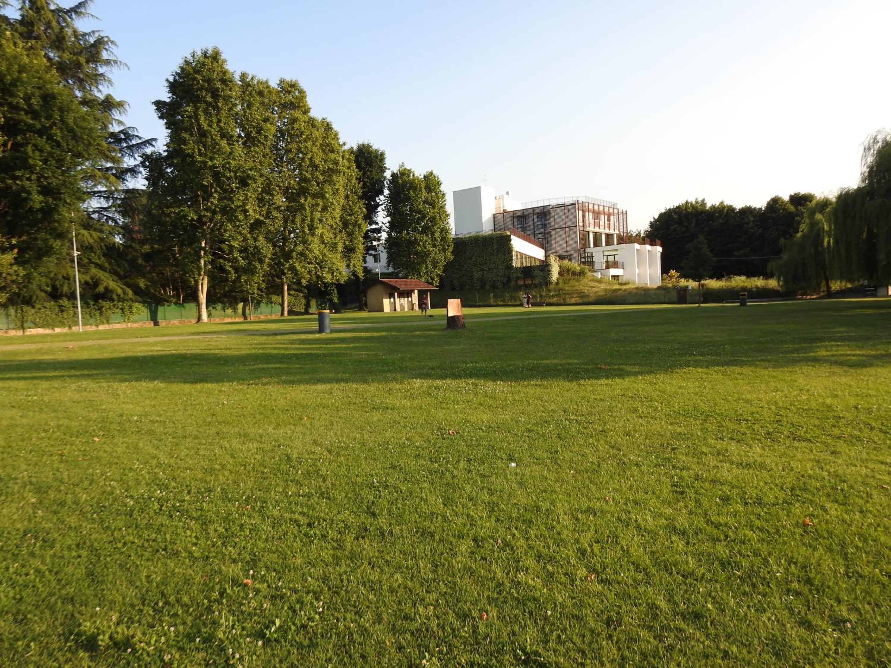 Photo 11