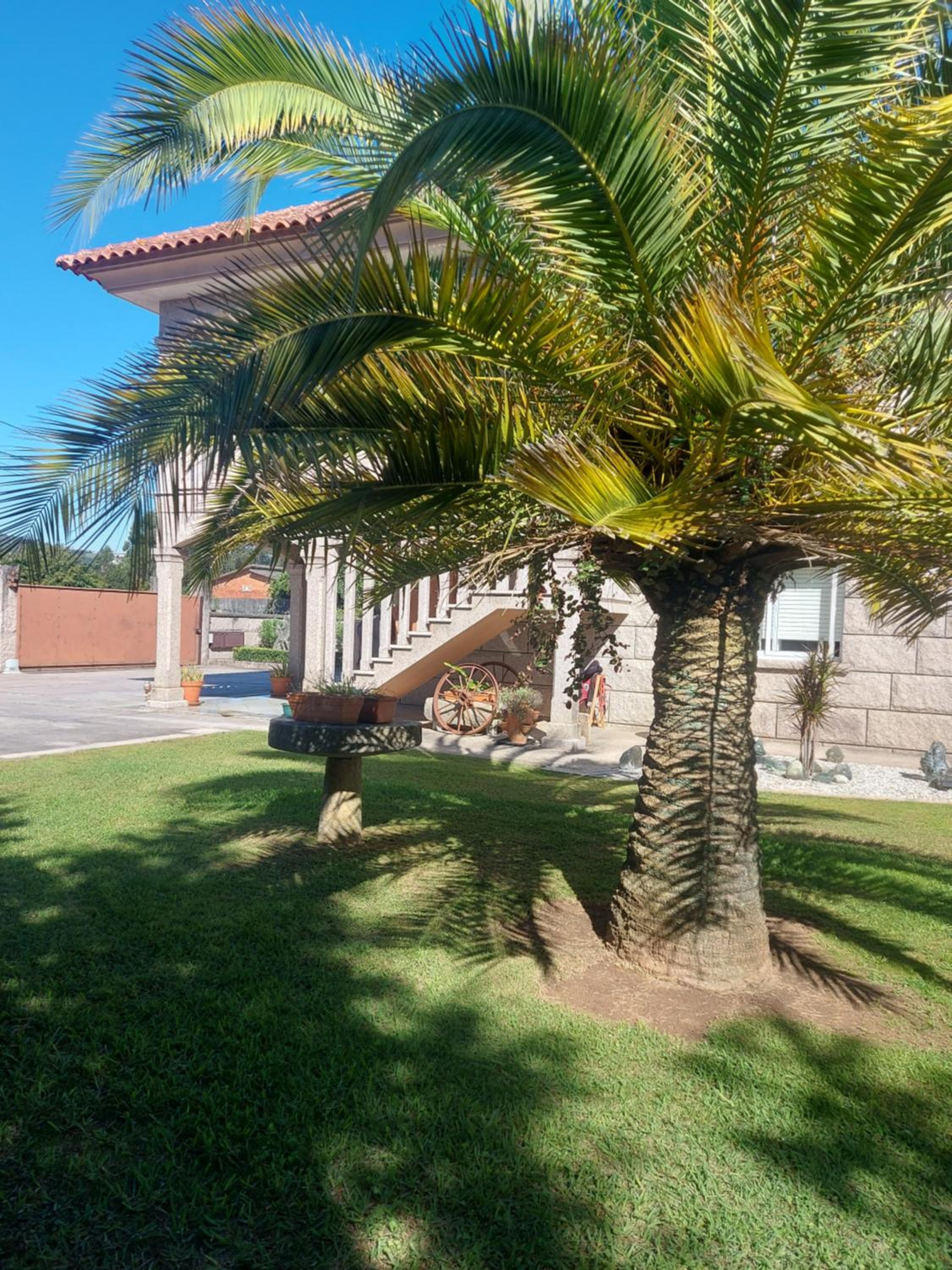 Os Cabaleiros