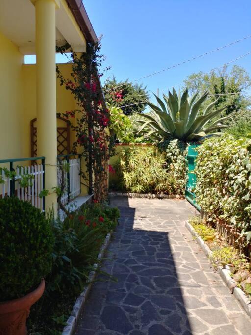 L'Agave view 3