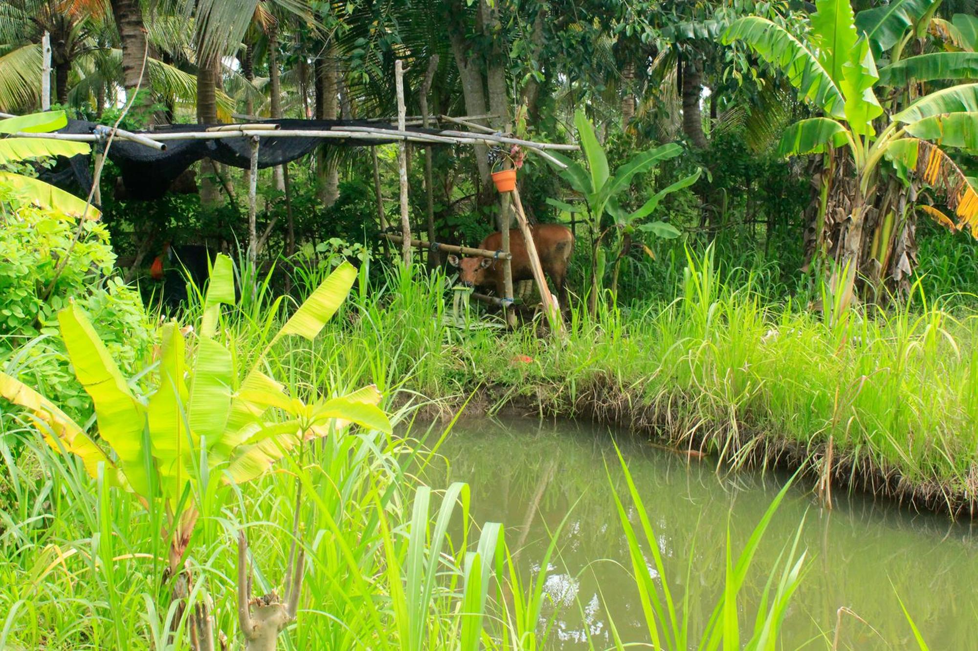 Sekar Kuning Cottage
