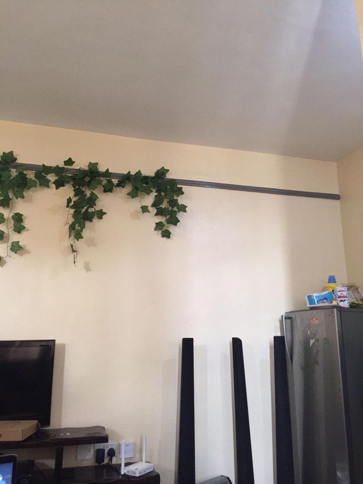 Silverstone Apartment's B2