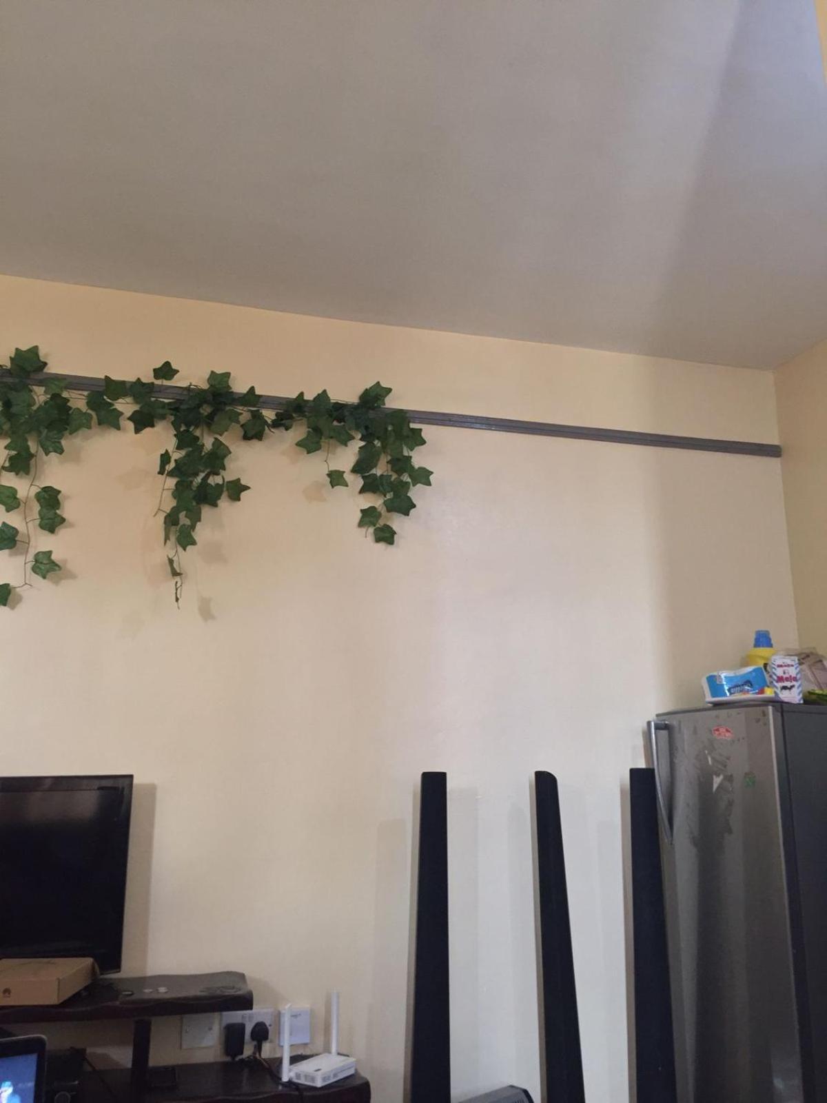 Silverstone Apartment's B2