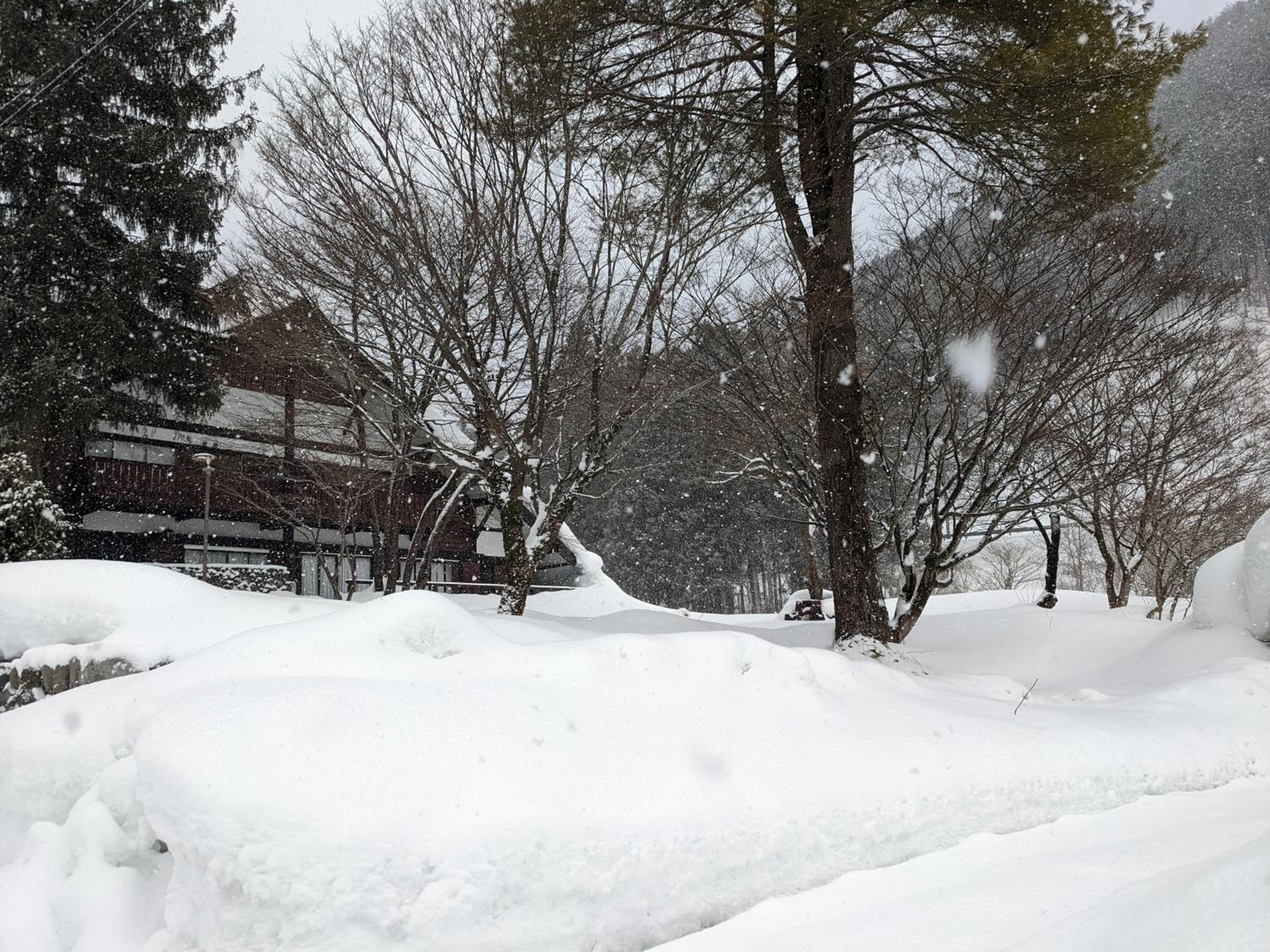 Tanigawa Valley Lodge & Coffee Roastery
