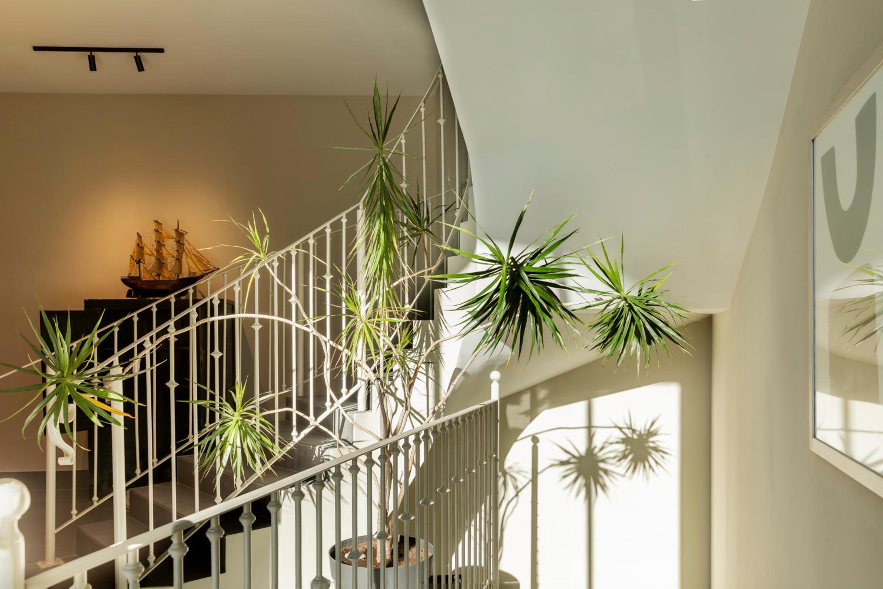 Apartamentos Plaza Center