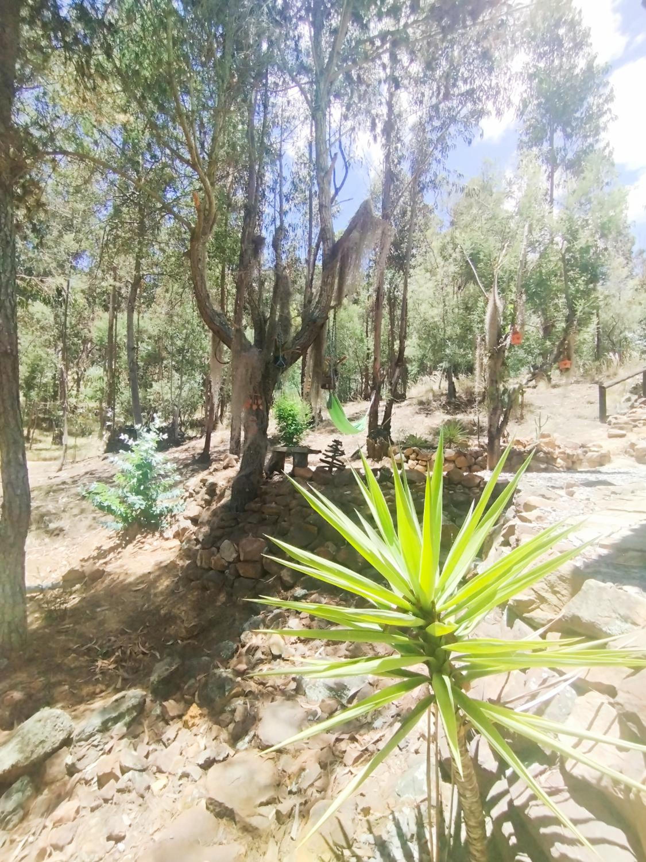 CABAÑA MÁGICA CUCUNUBA