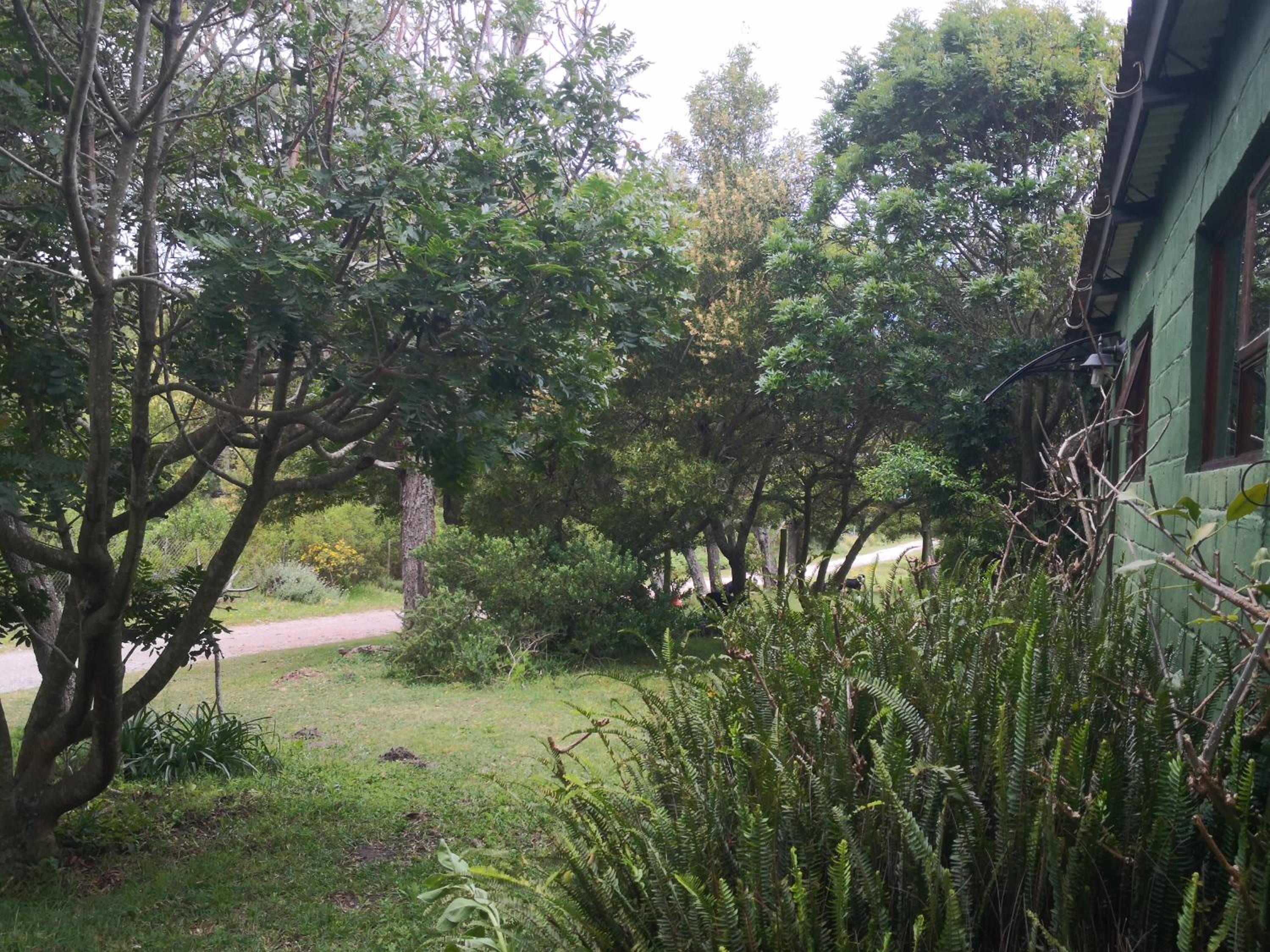 Photo 9