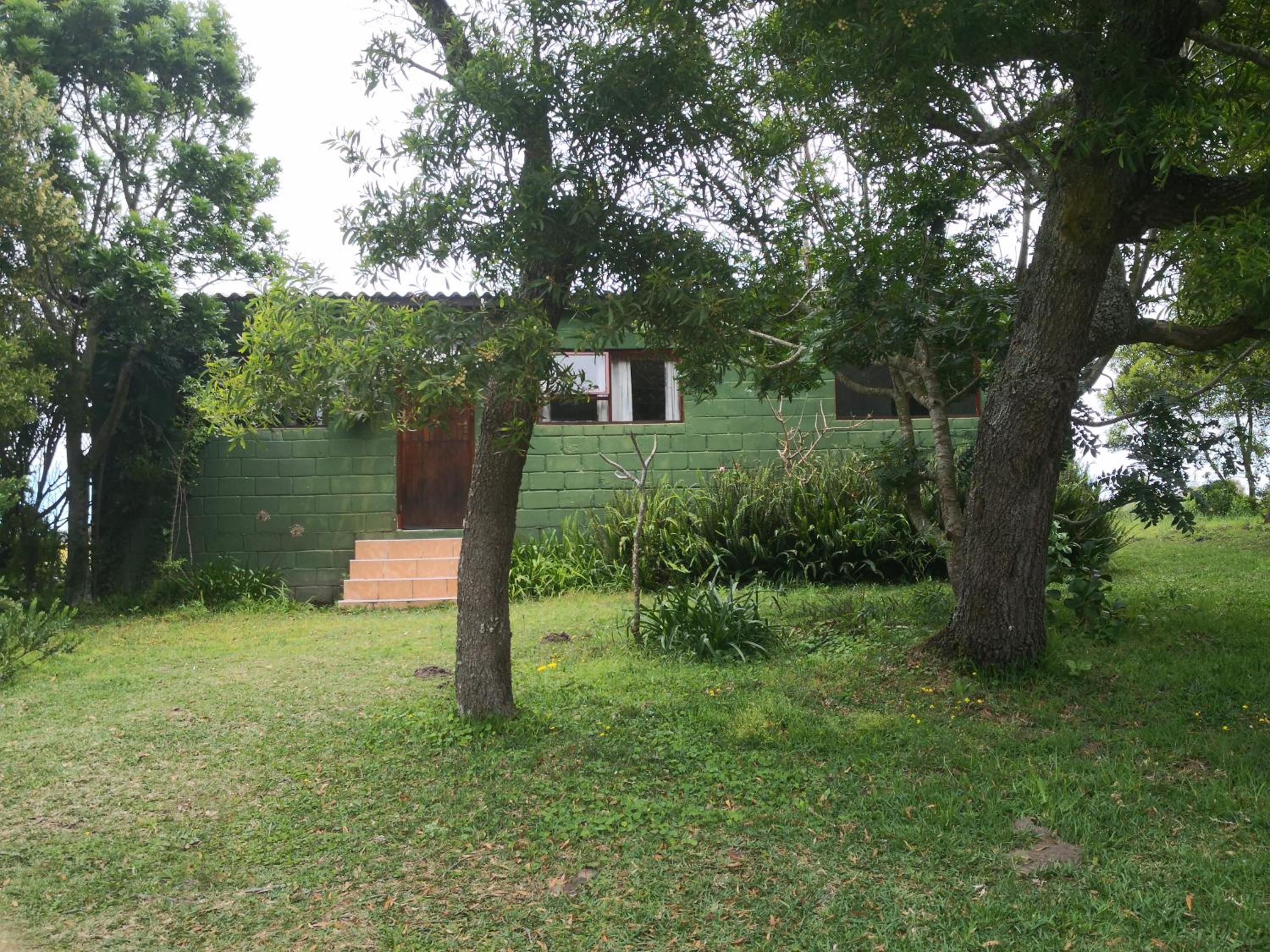 Photo 38