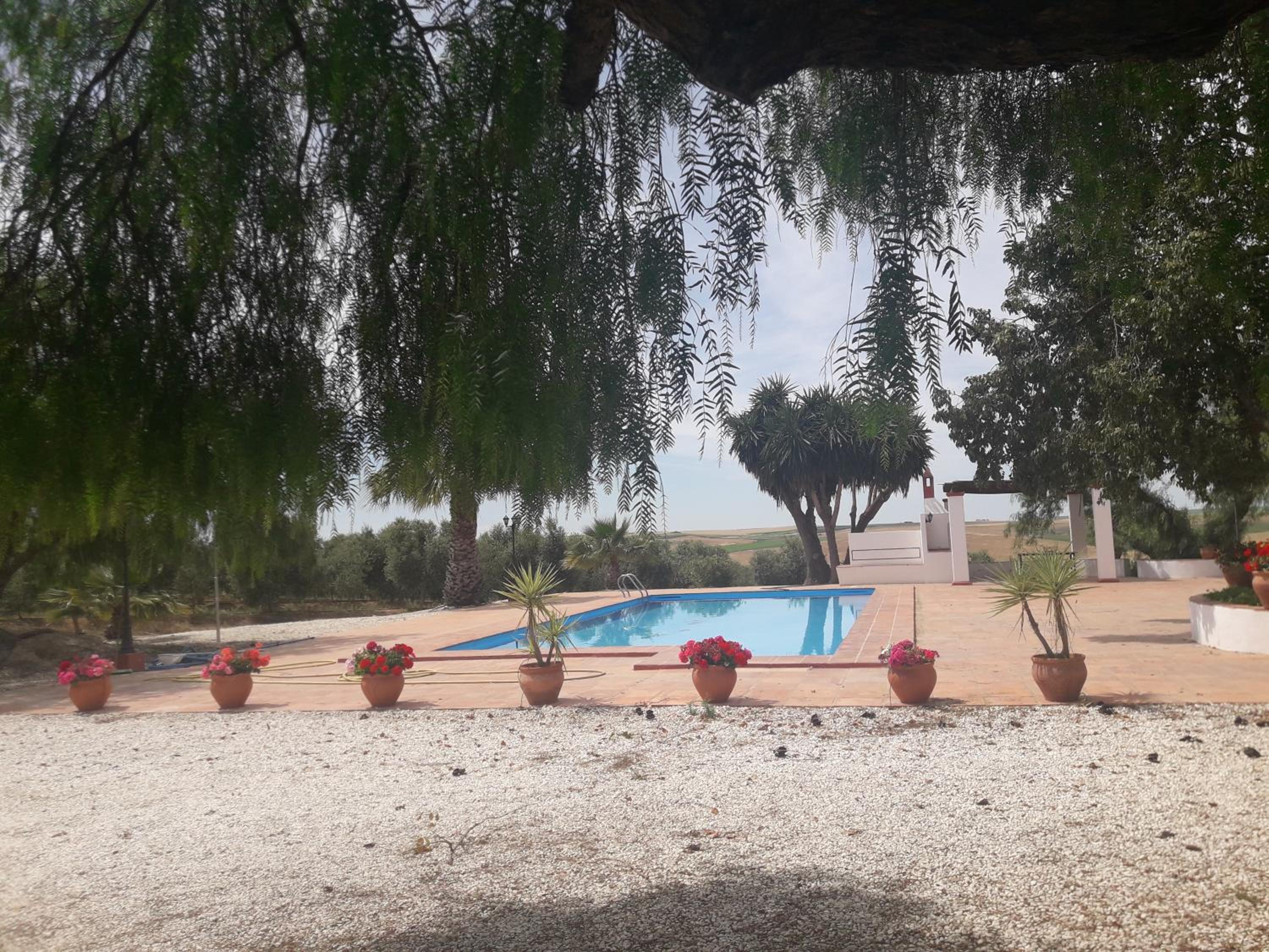 Finca Castellares