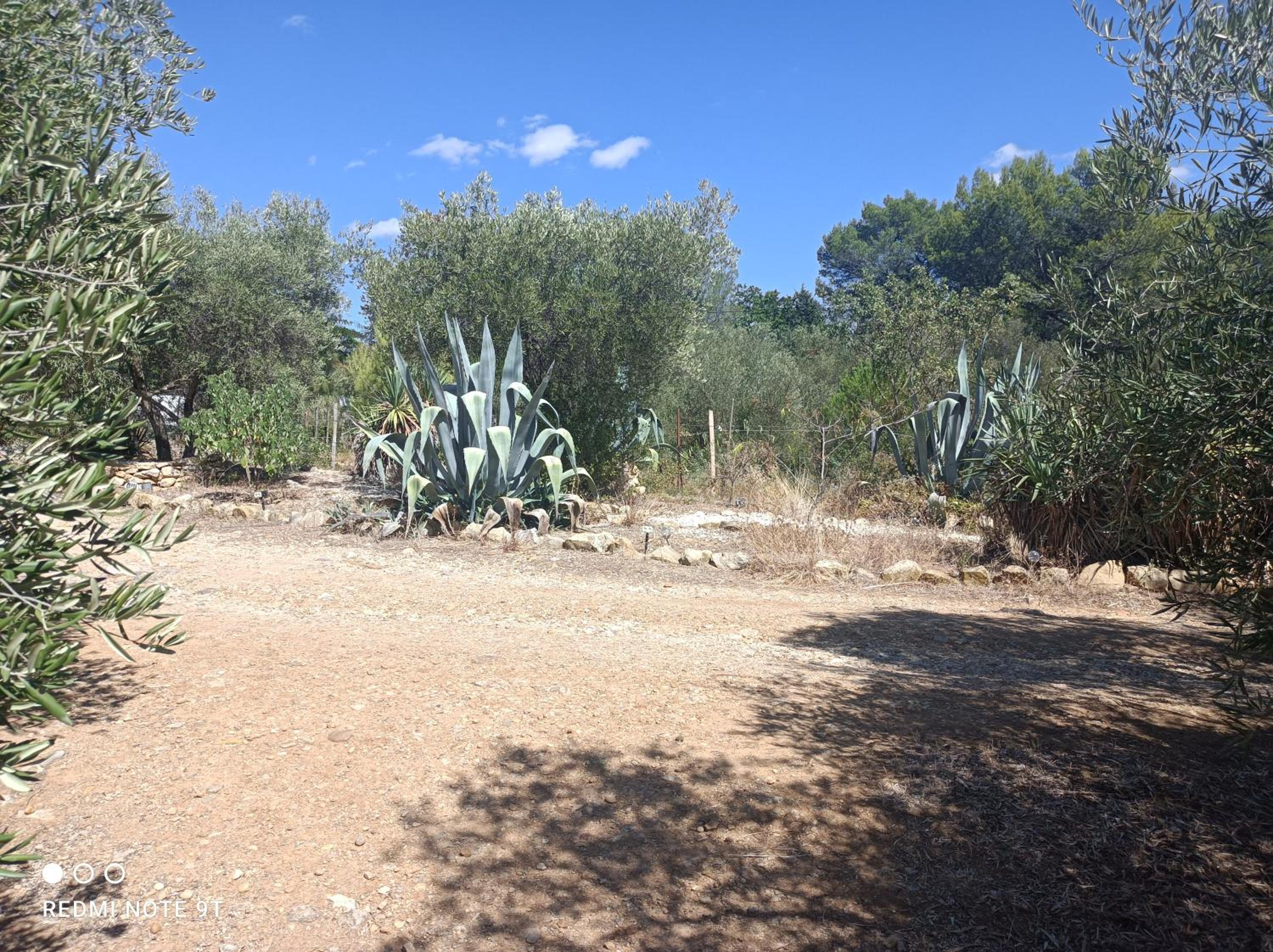 Photo 25