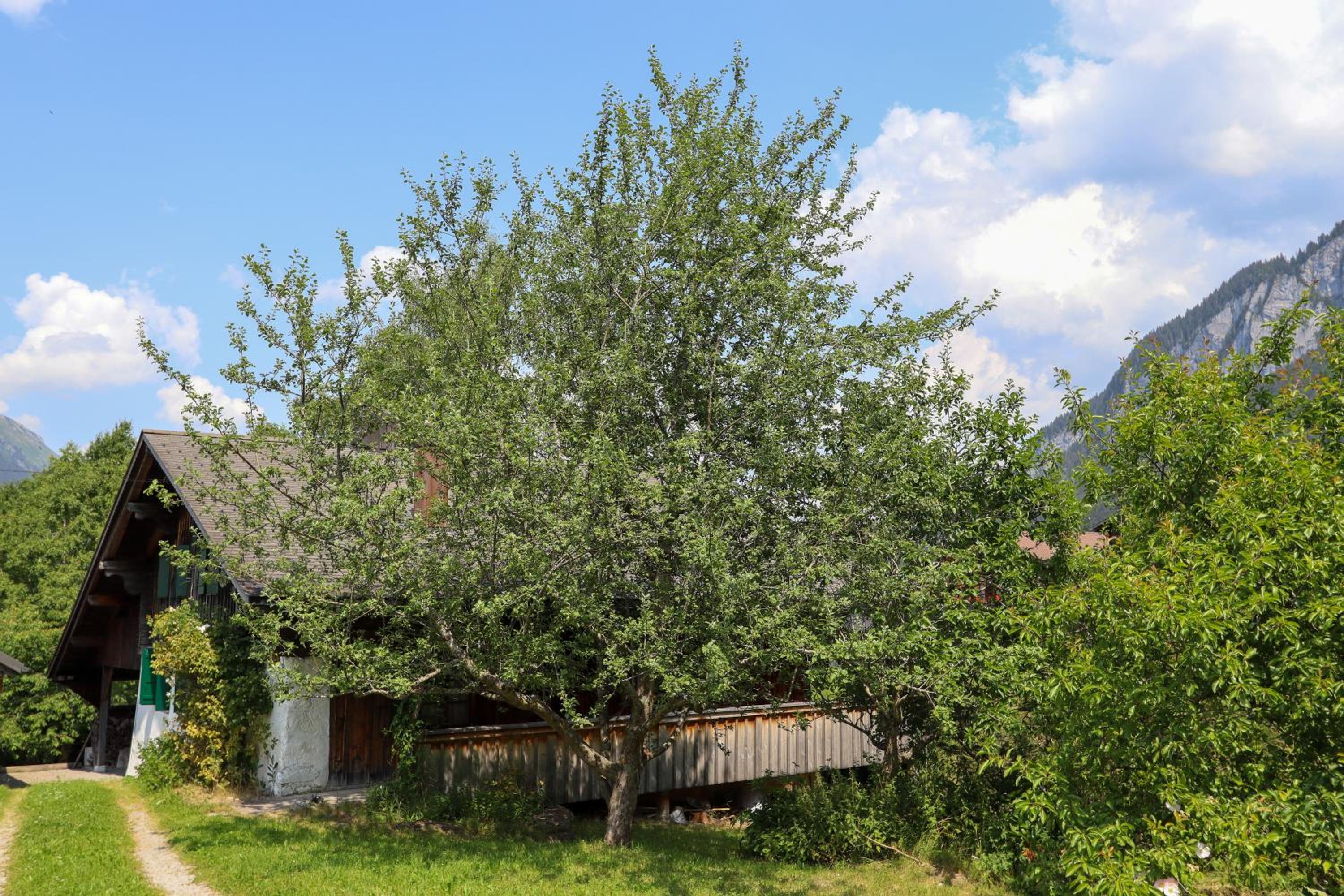 Chalet Le Monteiller