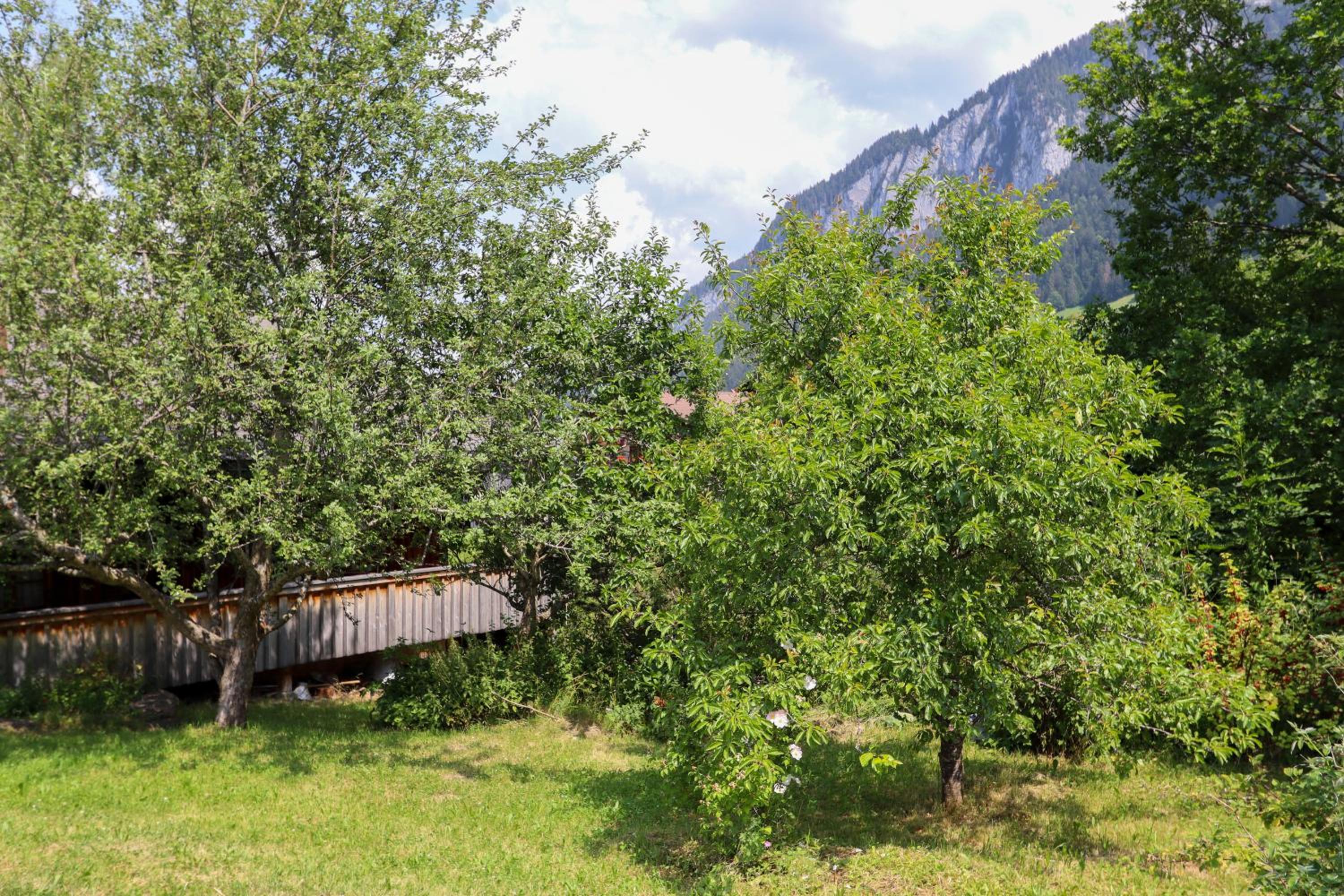 Chalet Le Monteiller