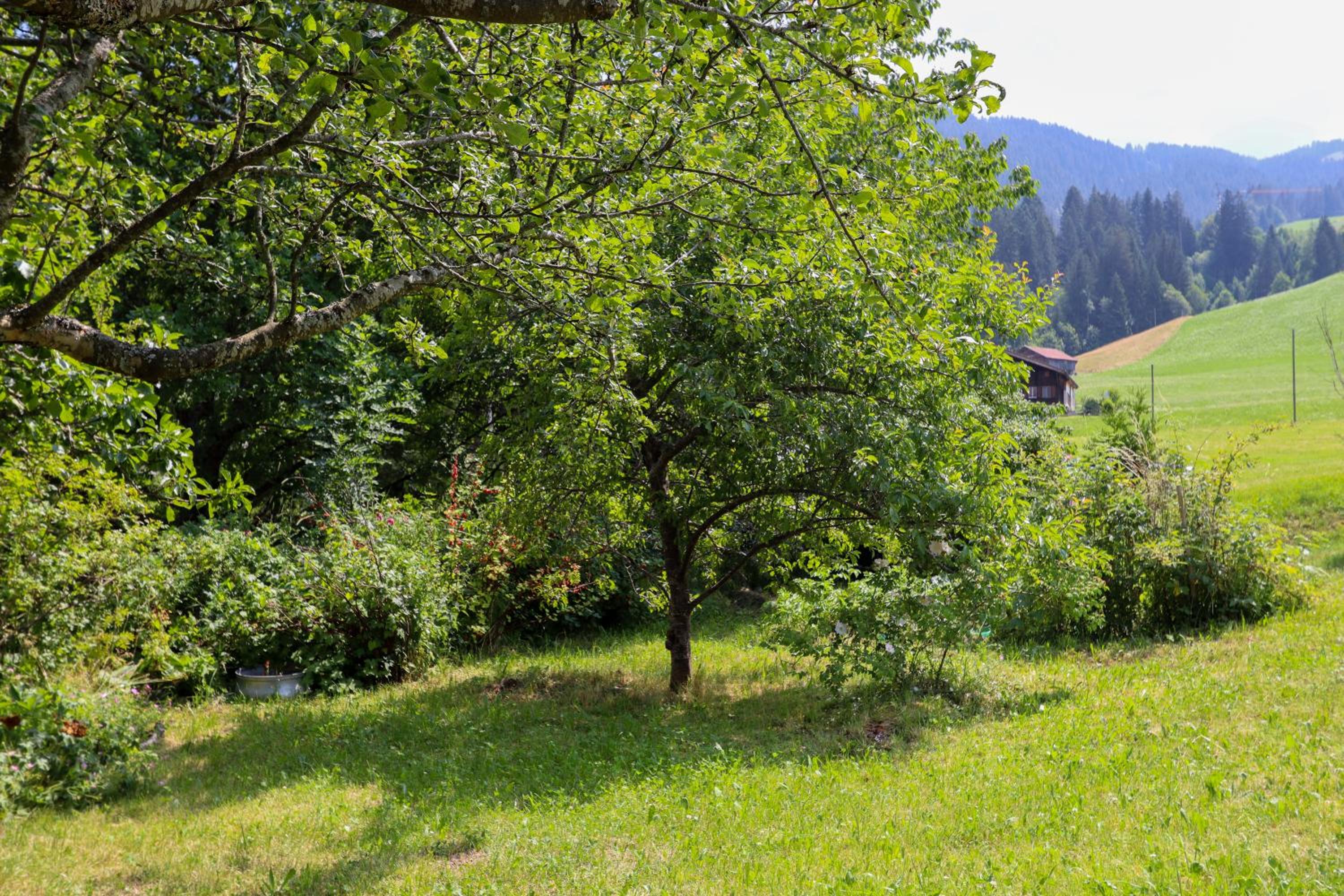 Chalet Le Monteiller