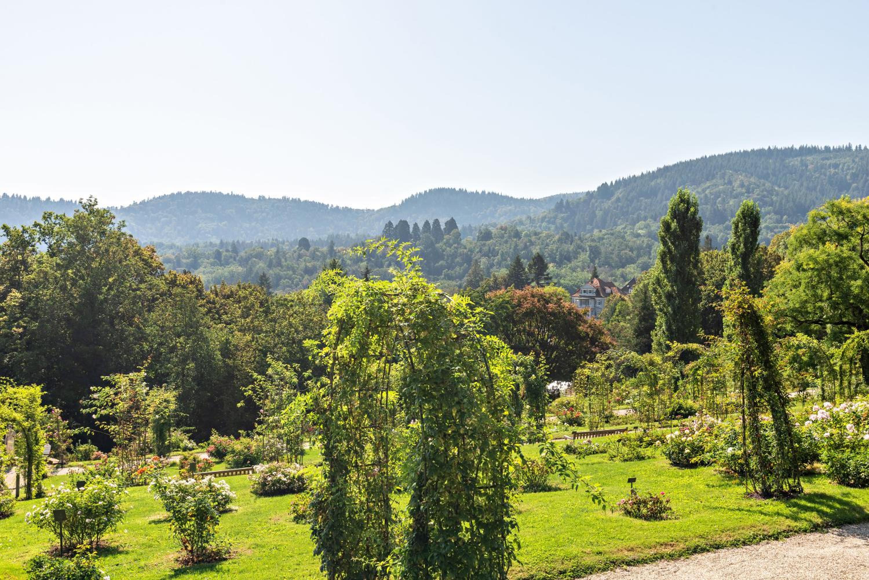 Merkurblick