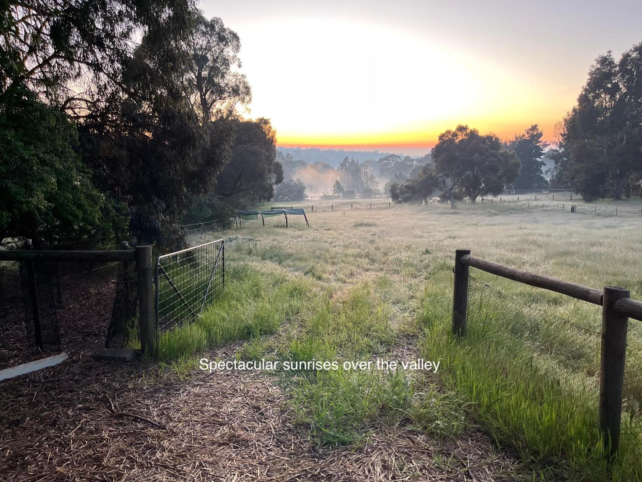 Eversprings Glamping view 3